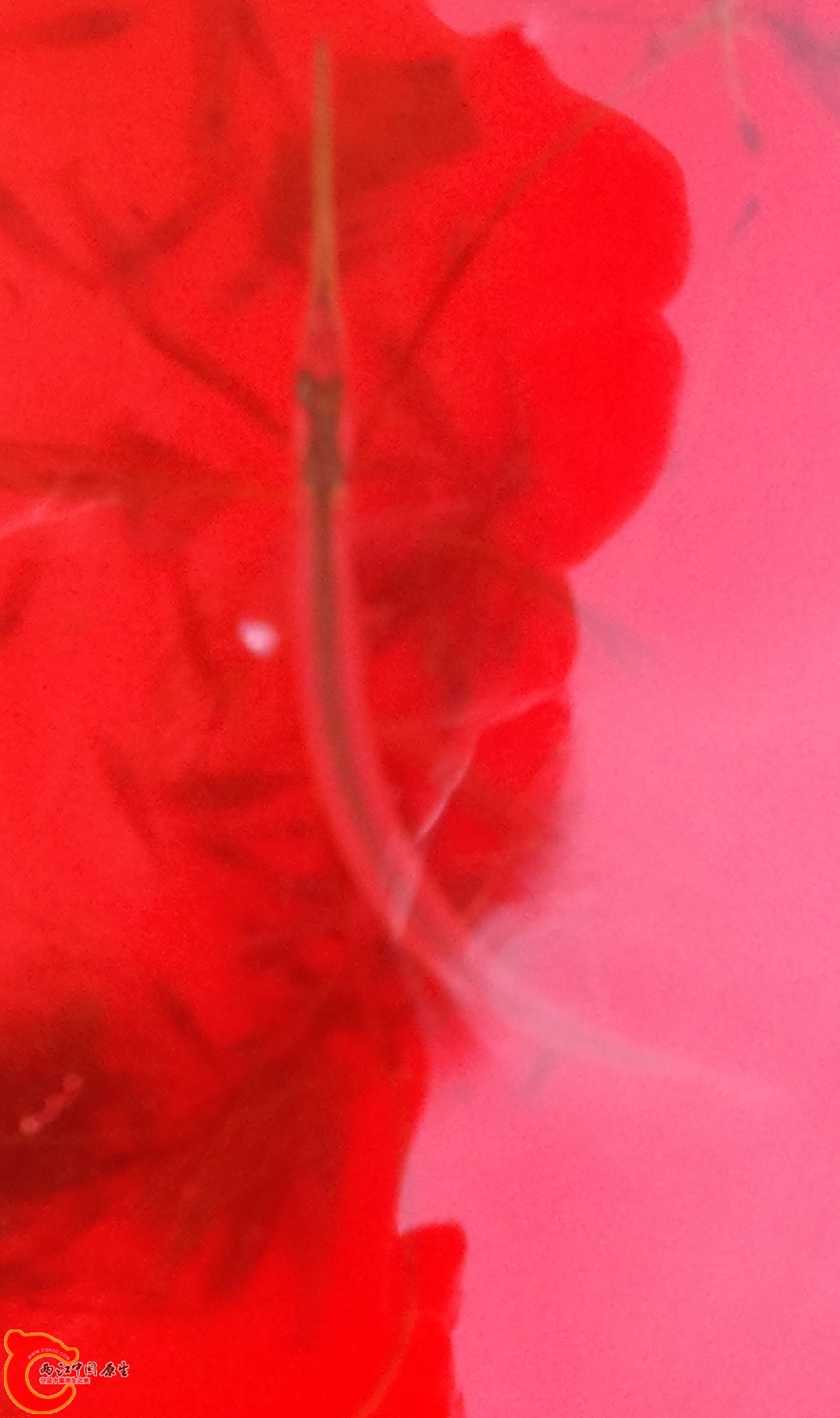 2011-07-09 14.45.53.jpg