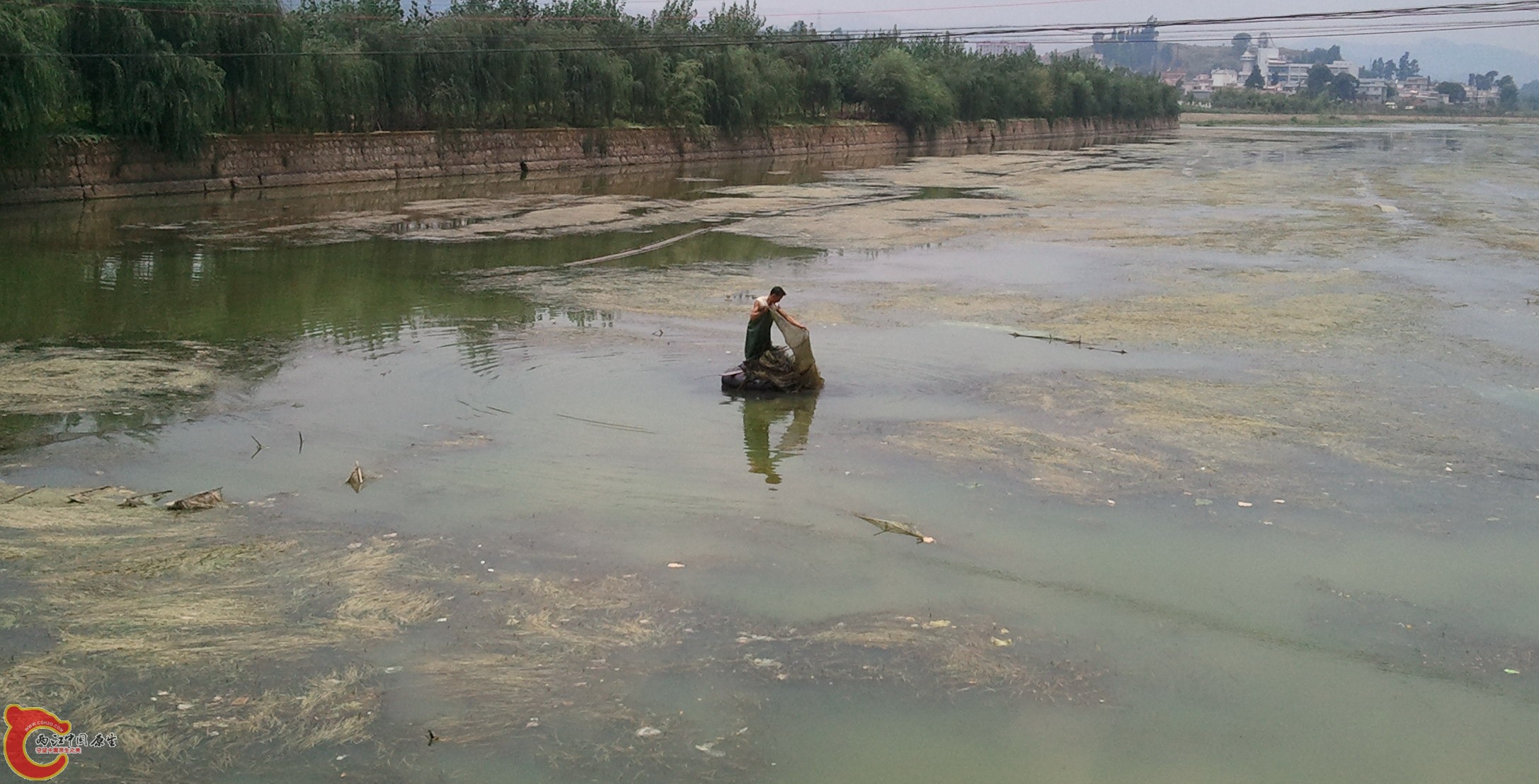 2011-07-09 13.08.11.jpg