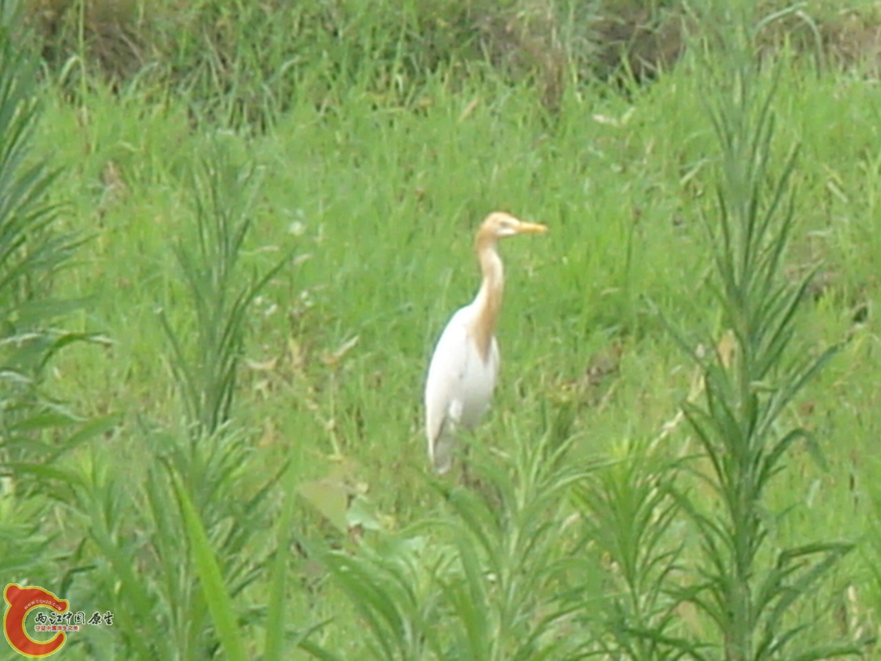 DSC03872.JPG