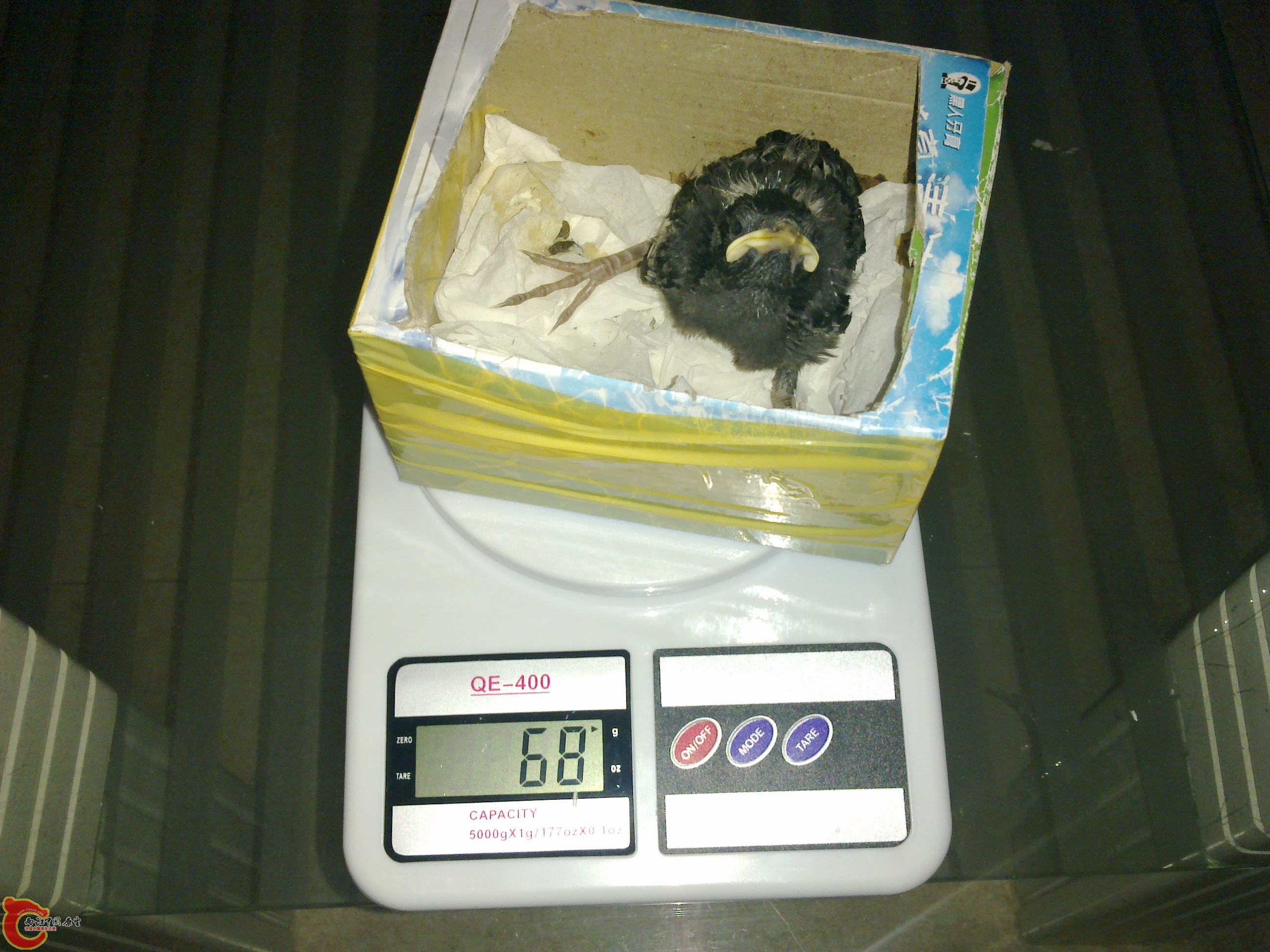 201107011987.jpg