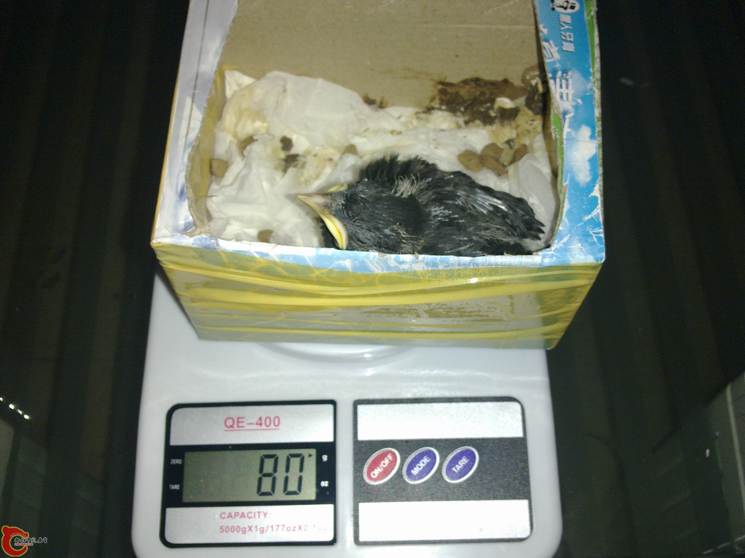 201107011988.jpg