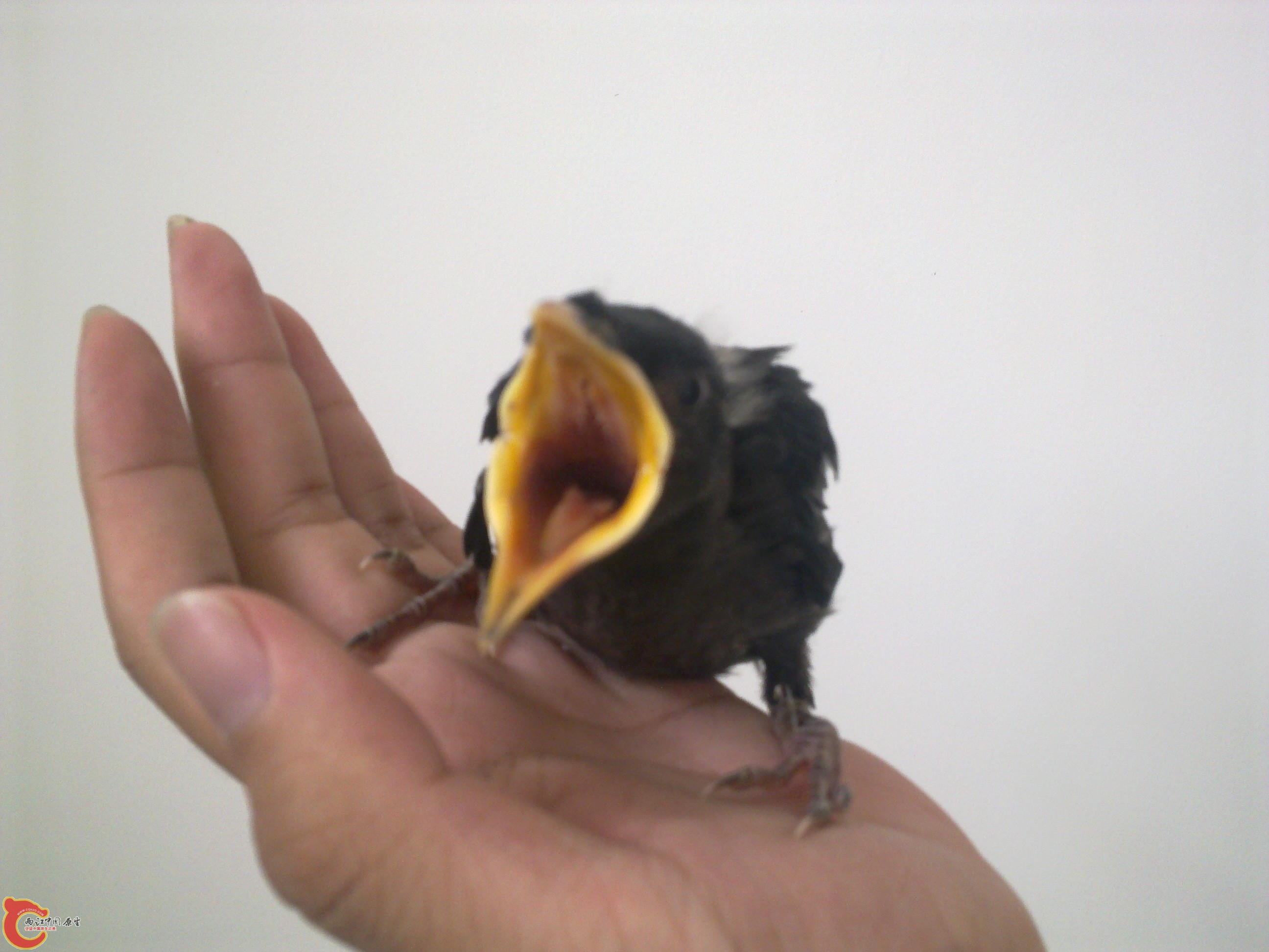 201107052025.jpg