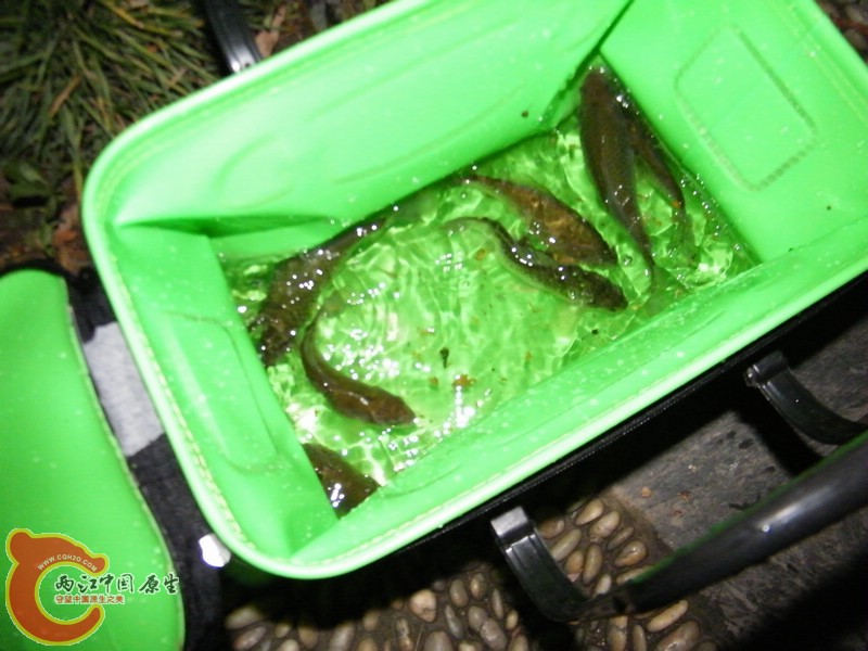 DSCF5974.jpg