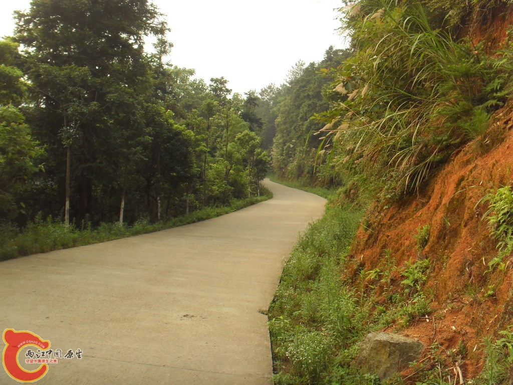 SDC17192.JPG