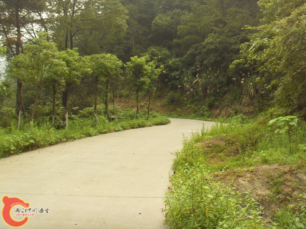 SDC17211.JPG