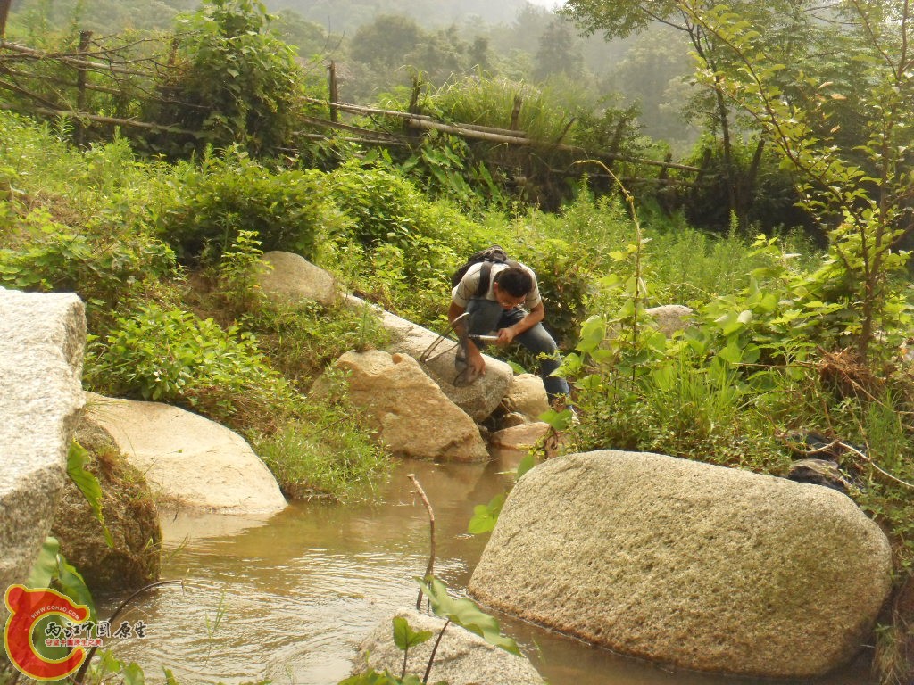 SDC17235.JPG