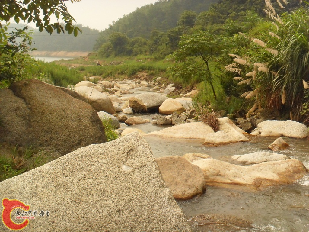 SDC17238.JPG