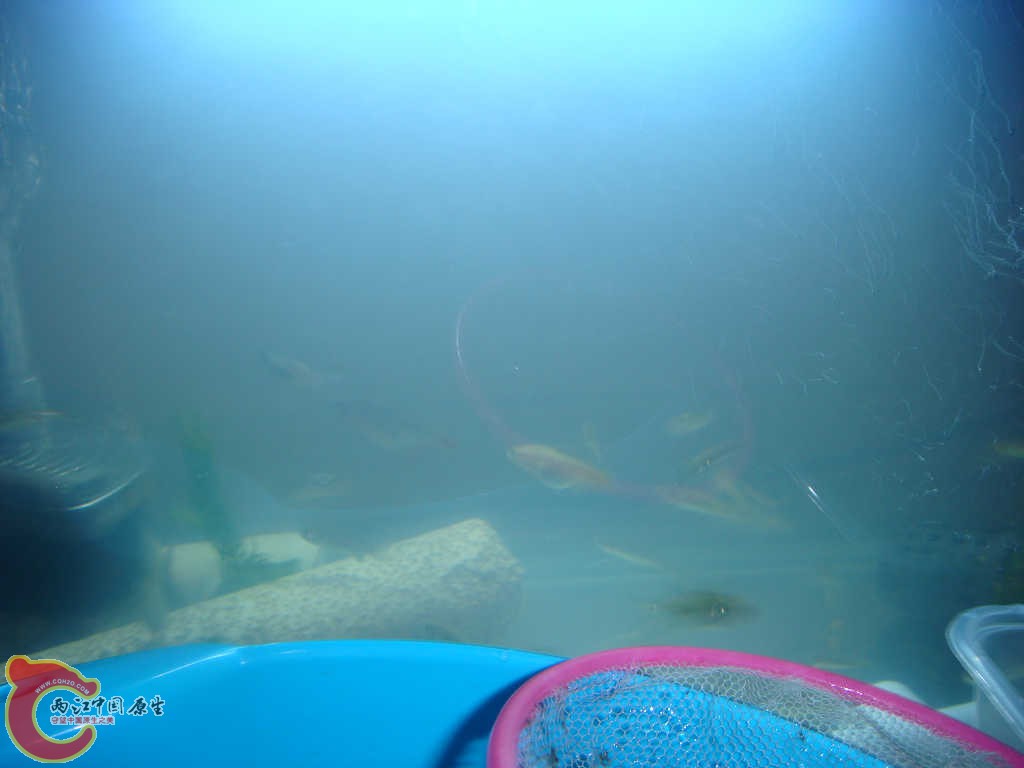 DSC06158_nEO_IMG.jpg