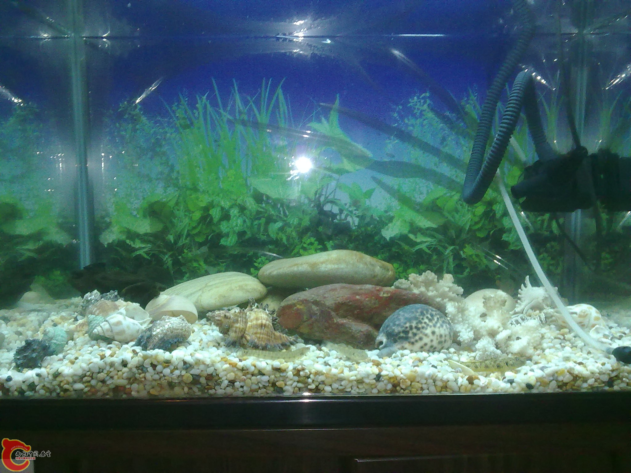 20110531797.jpg