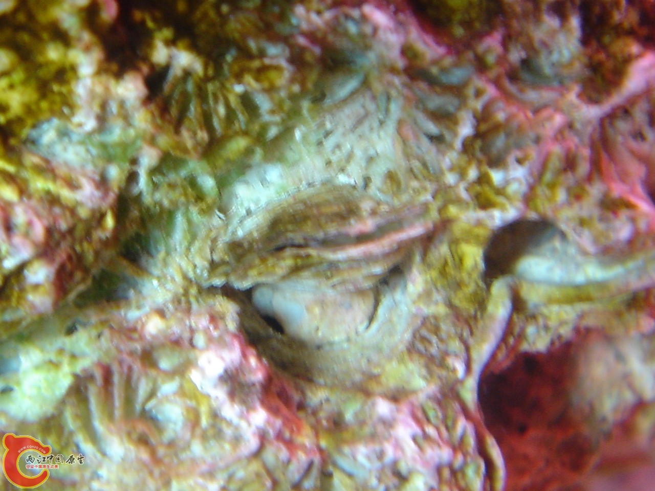 DSC07499.JPG