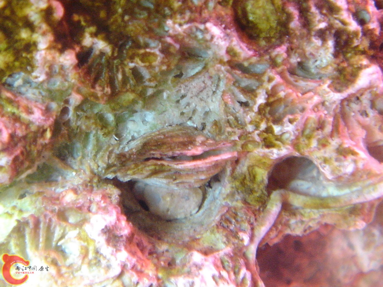 DSC07500.JPG