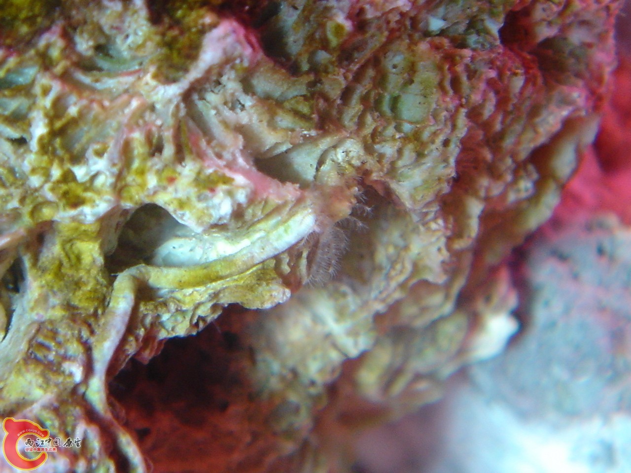 DSC07505.JPG