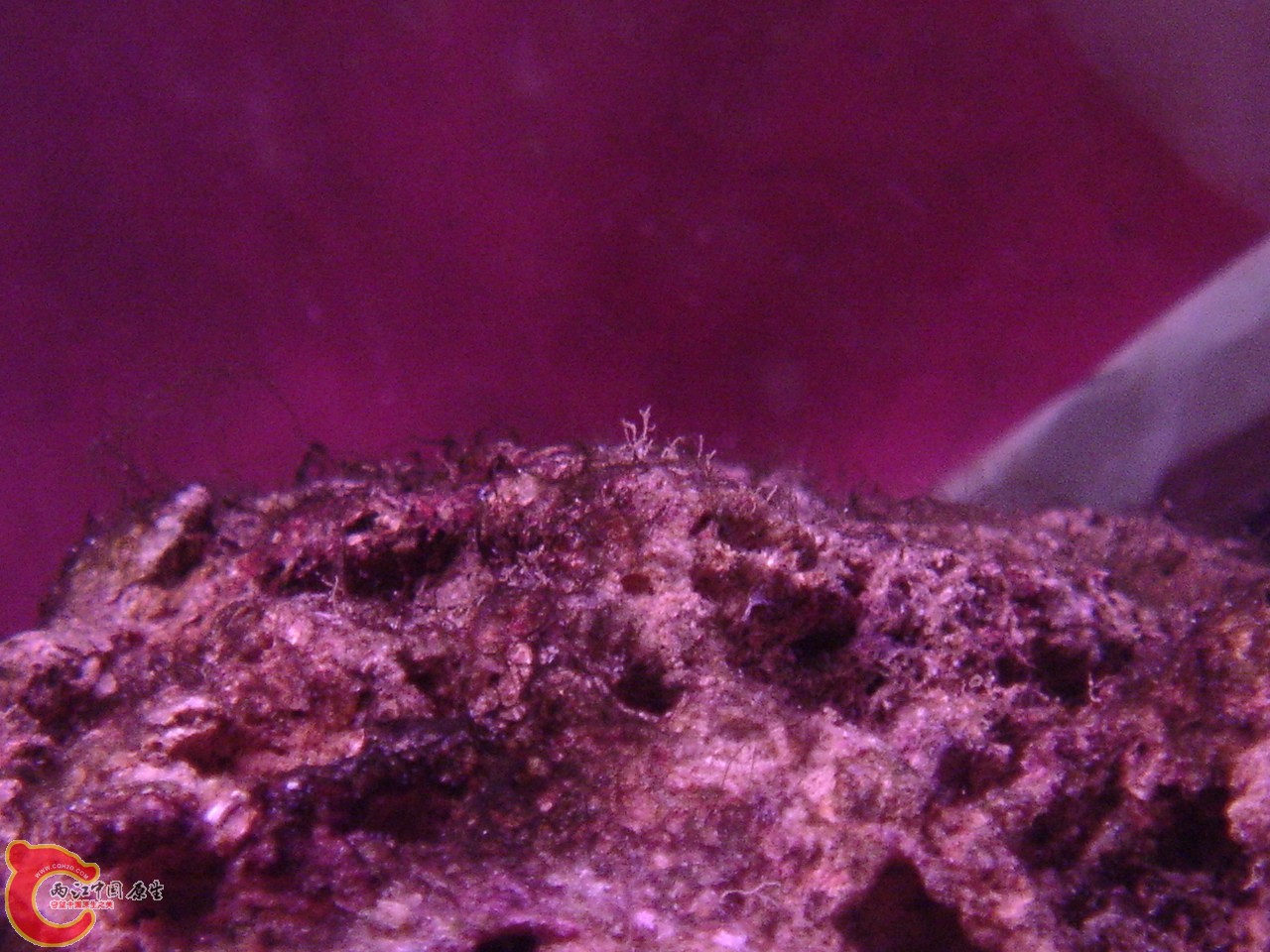DSC07509.JPG