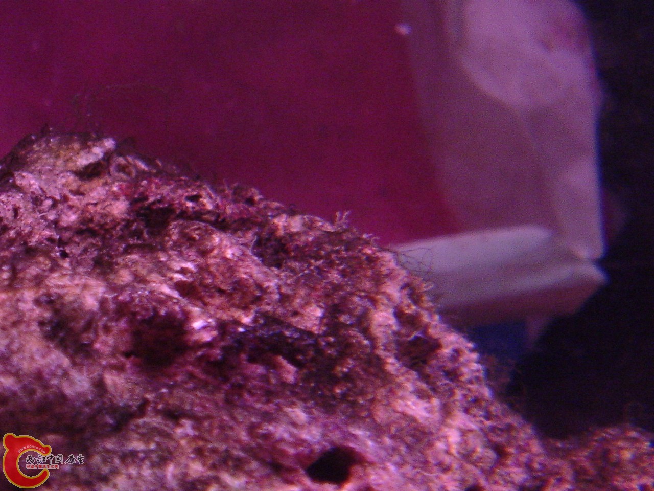 DSC07511.JPG