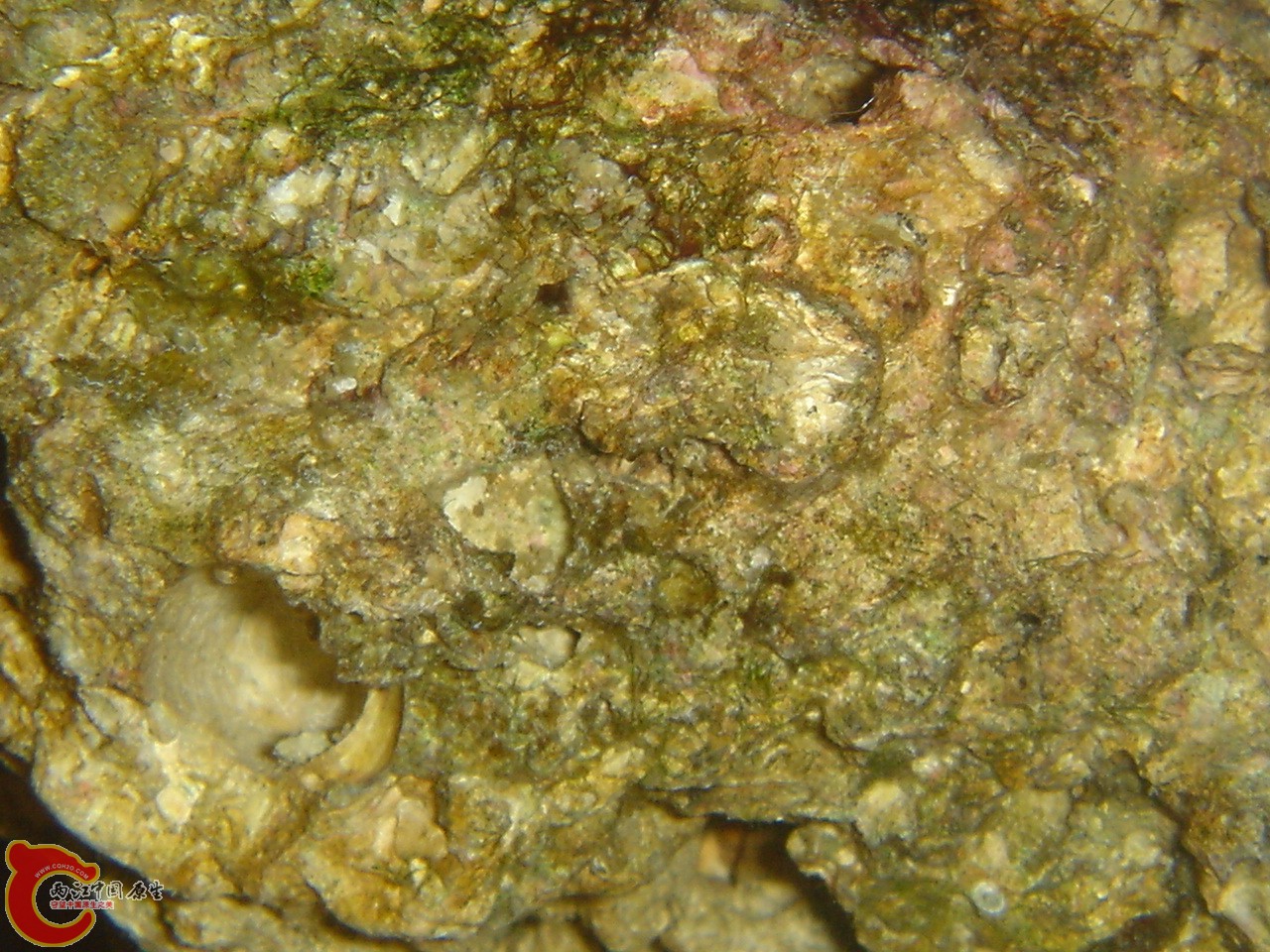DSC07513.JPG