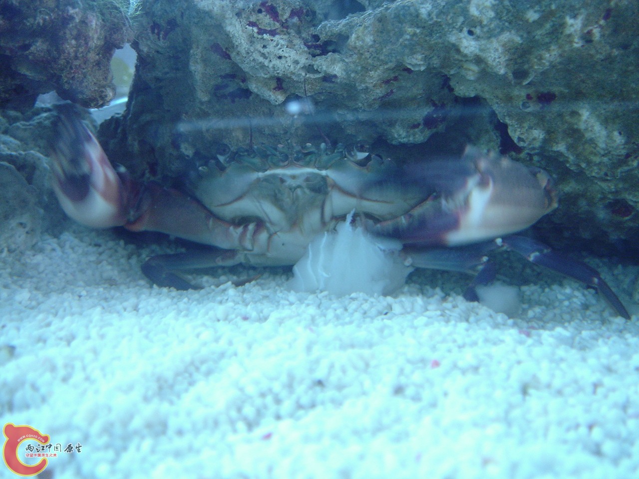 DSC07460.JPG
