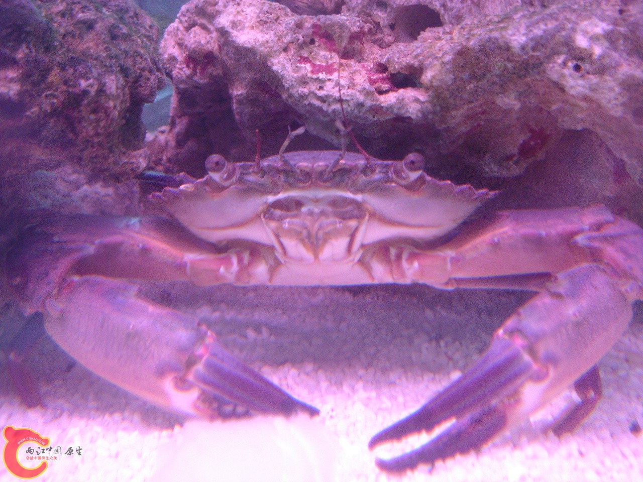 DSC07461.JPG