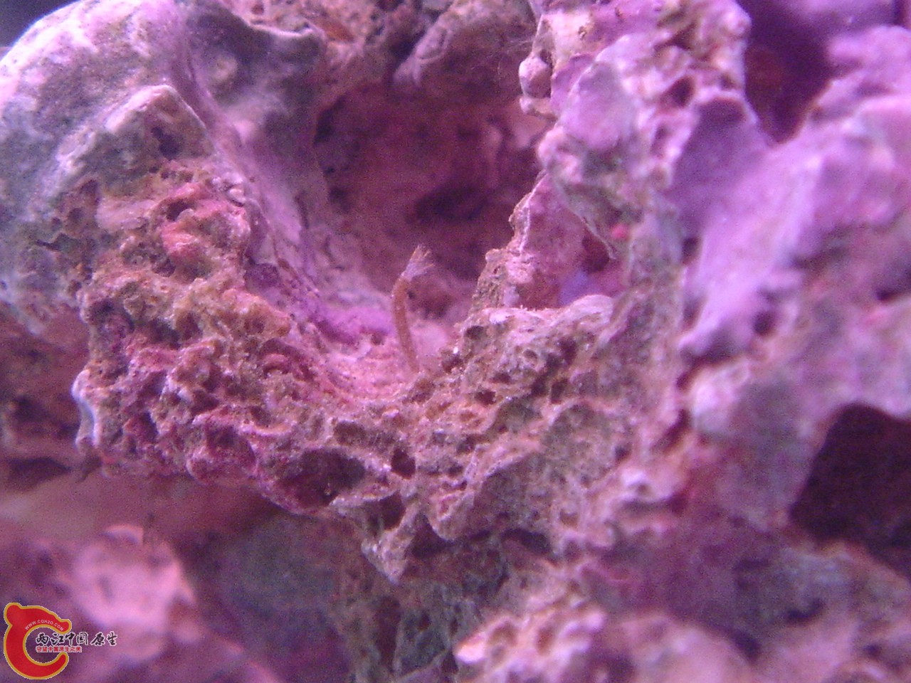 DSC07466.JPG