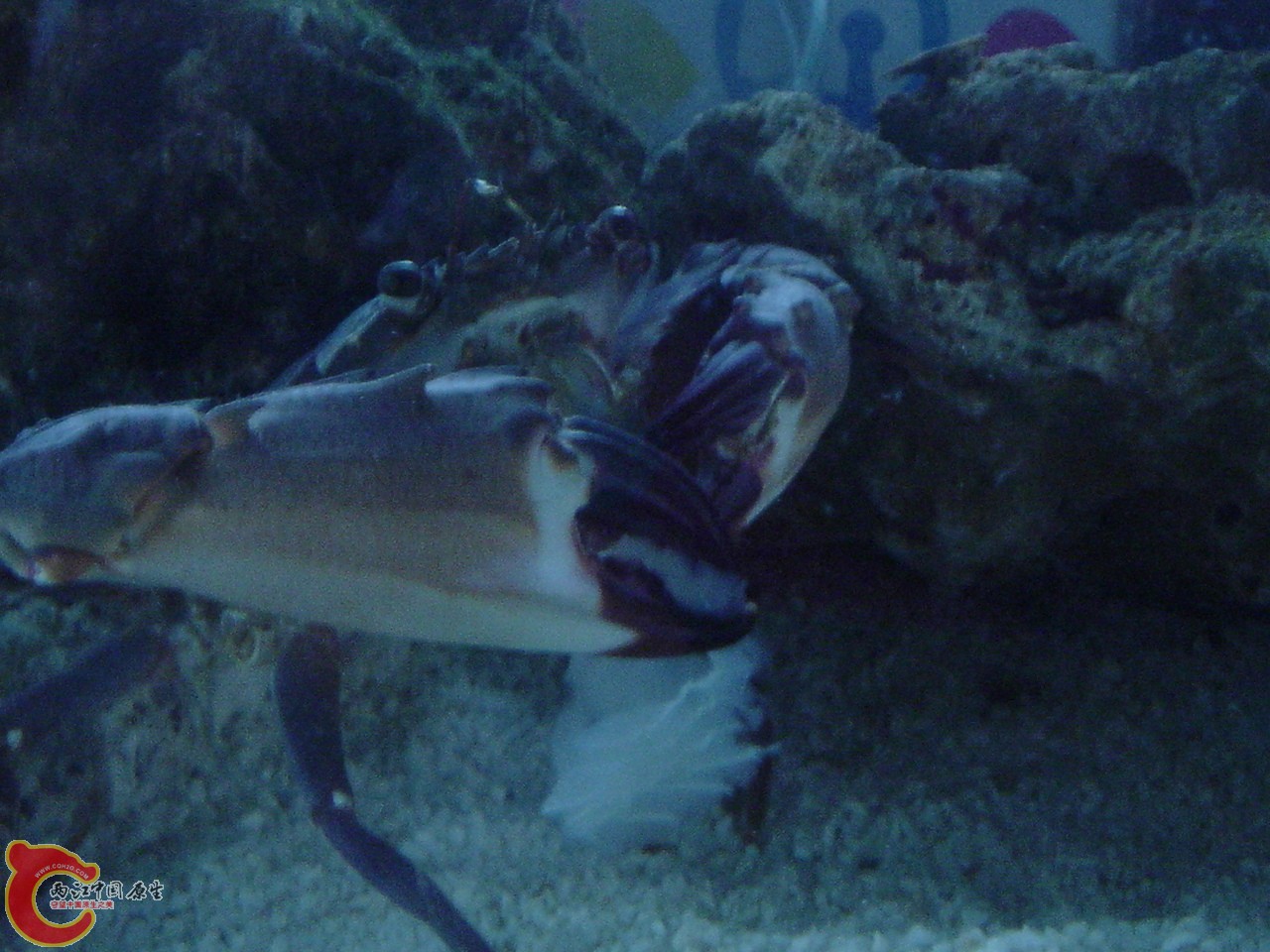 DSC07467.JPG