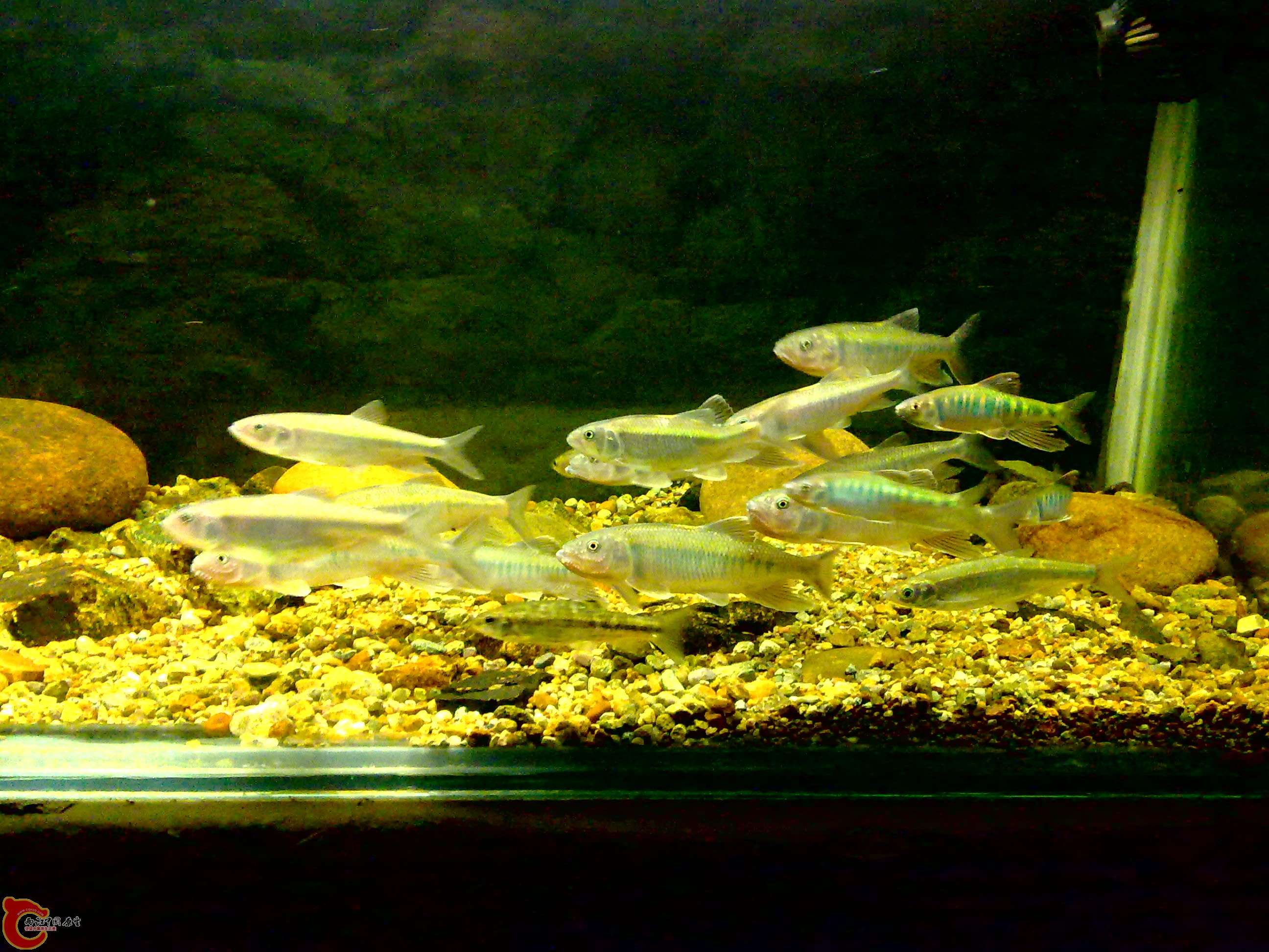 20110712711.jpg