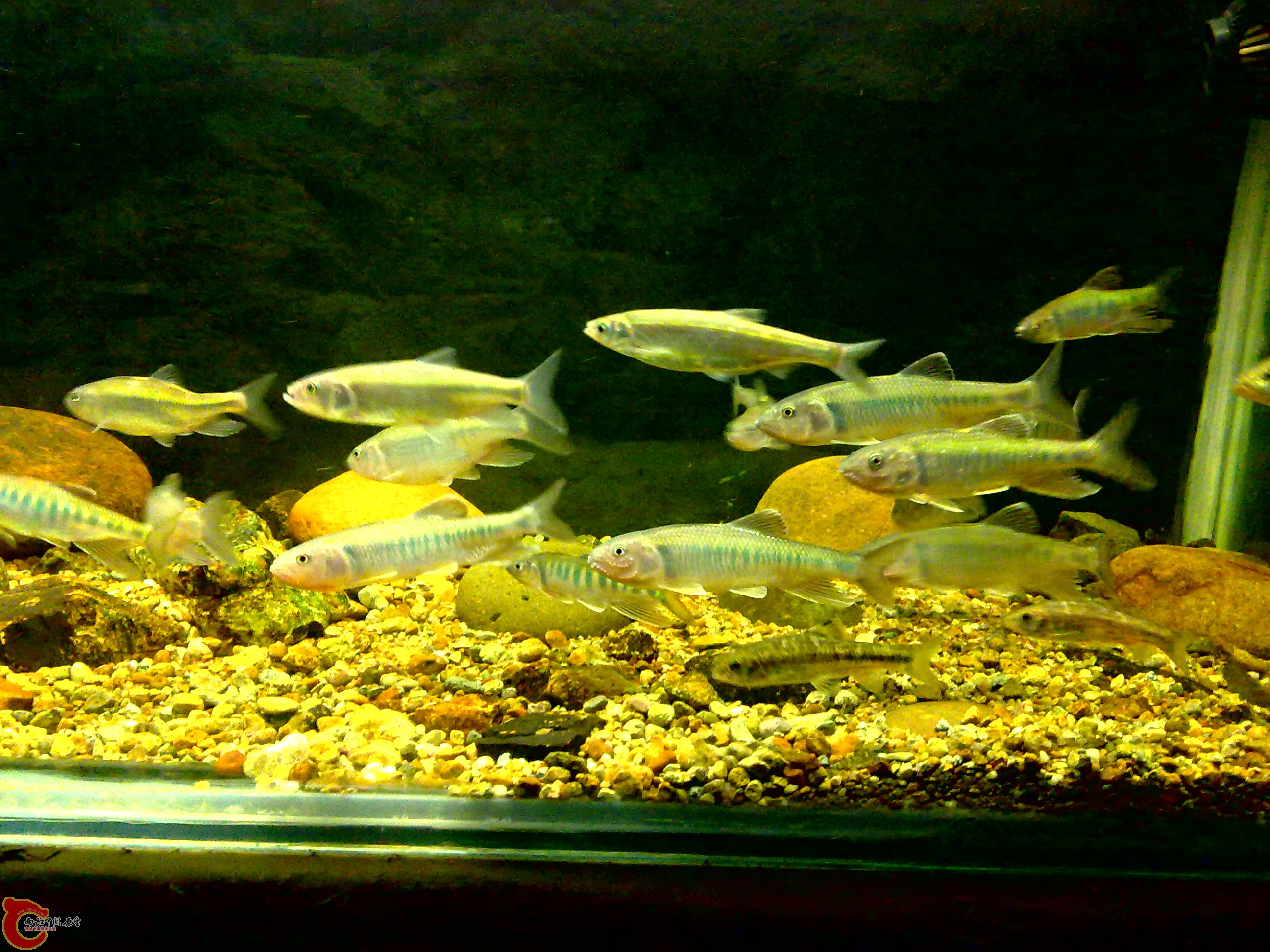 20110712715.jpg