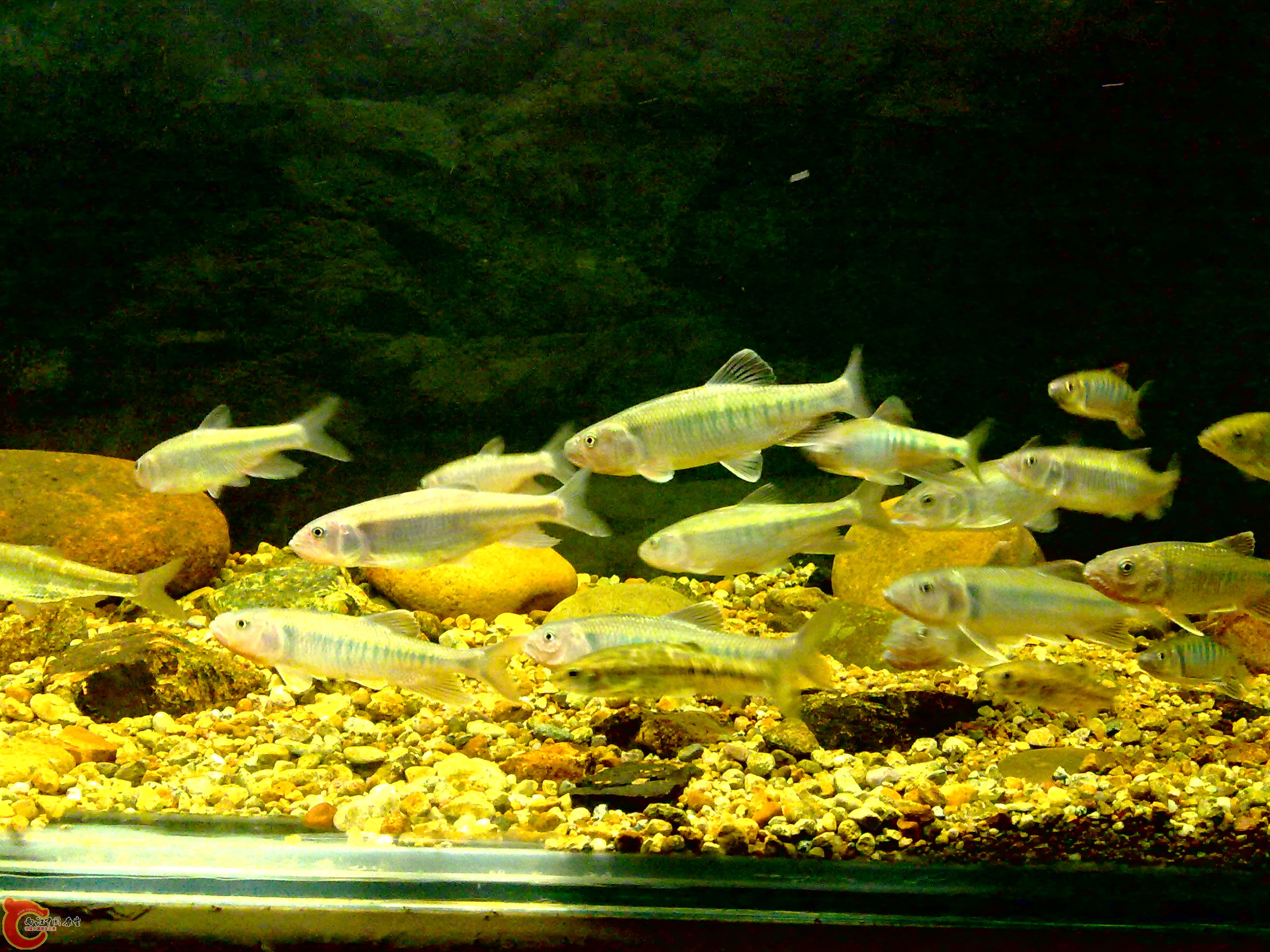 20110712716.jpg