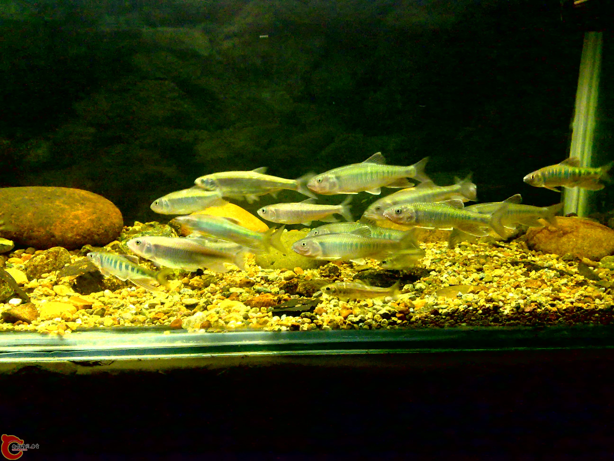 20110712718.jpg