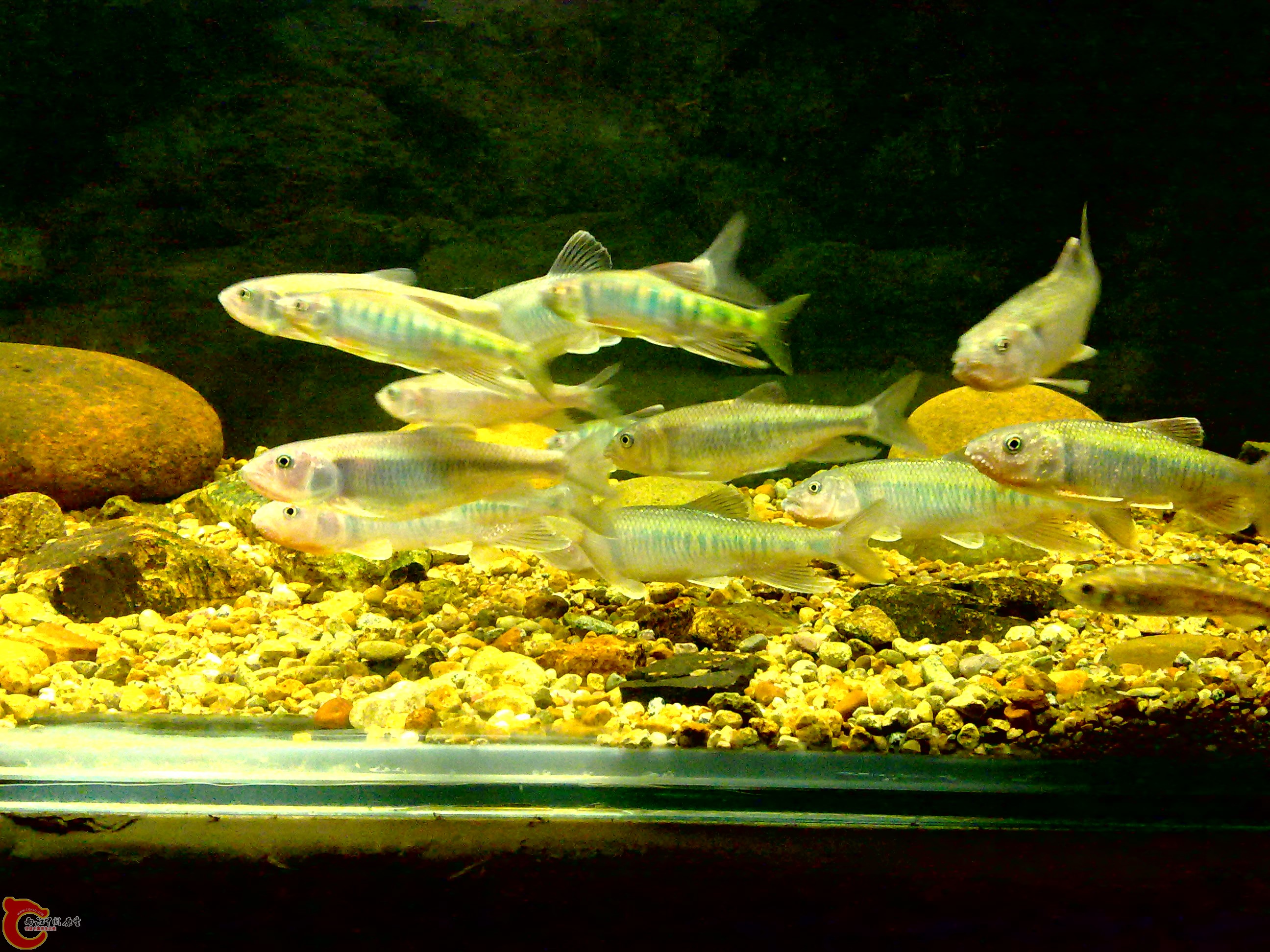 20110712723.jpg