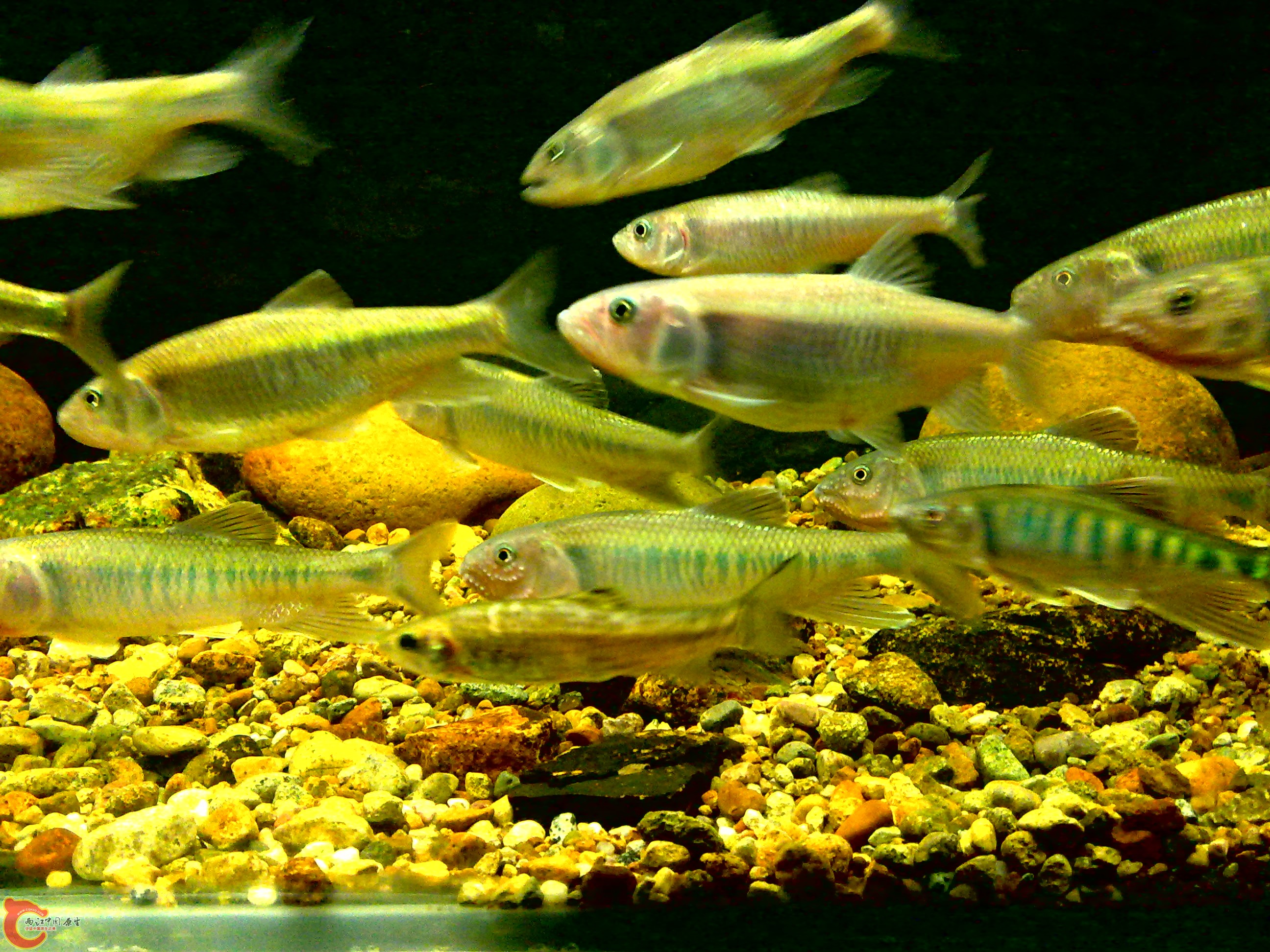 20110712724.jpg