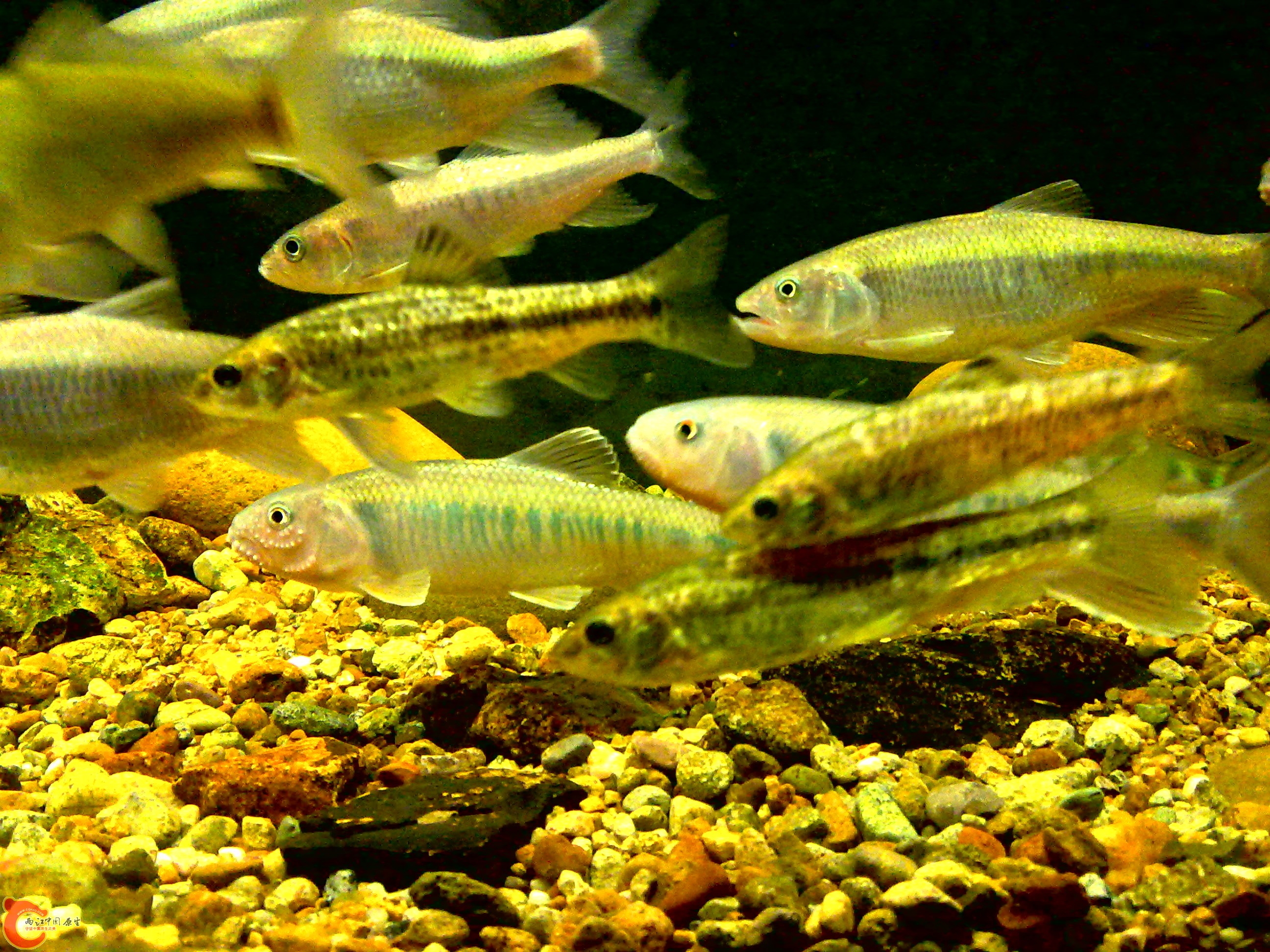 20110712725.jpg