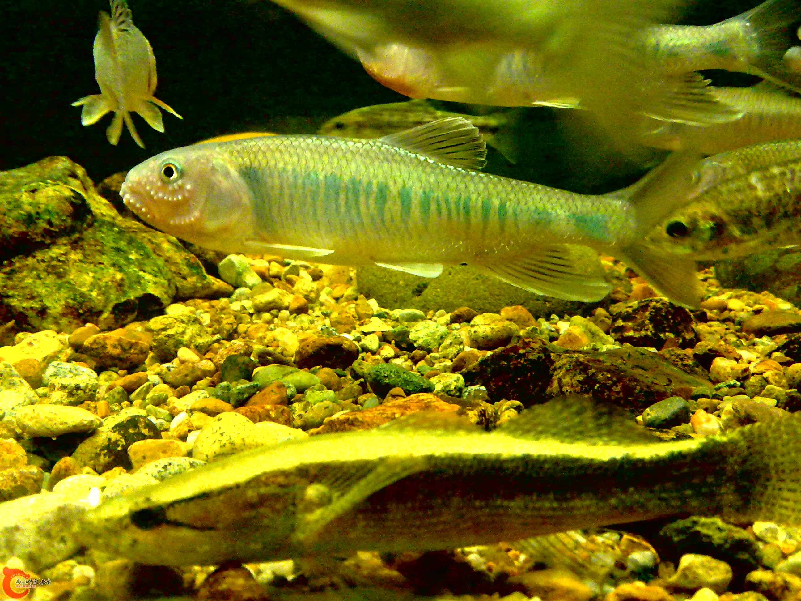 20110712727.jpg