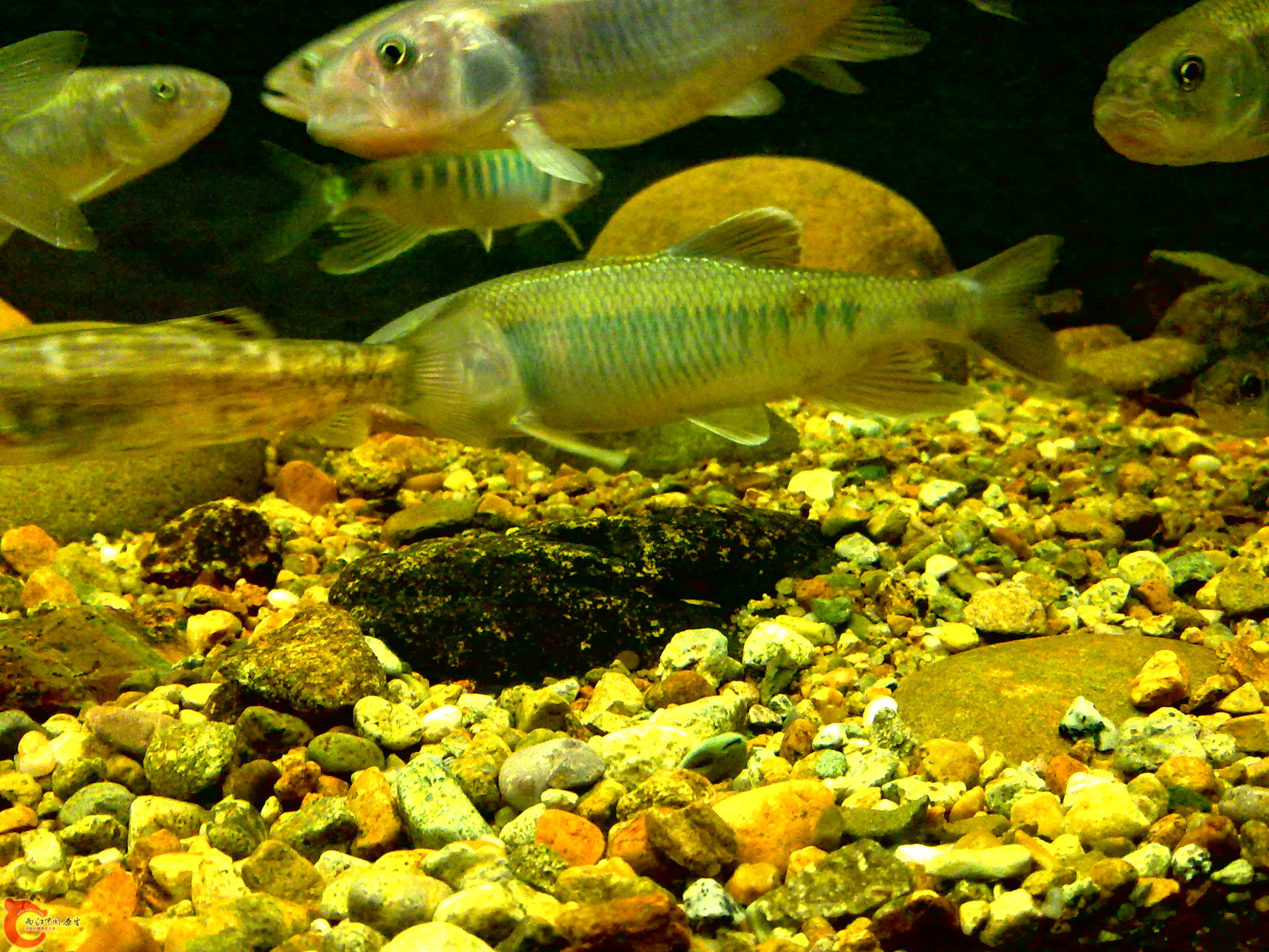 20110712728.jpg