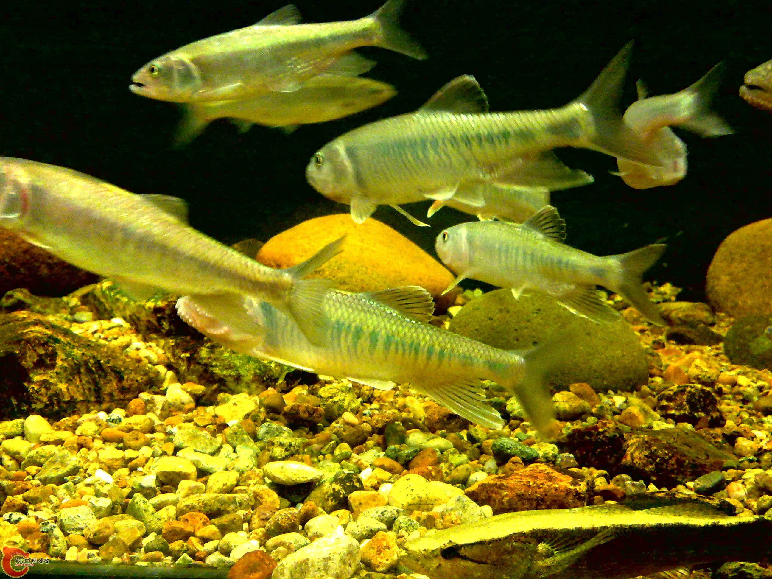 20110712729.jpg