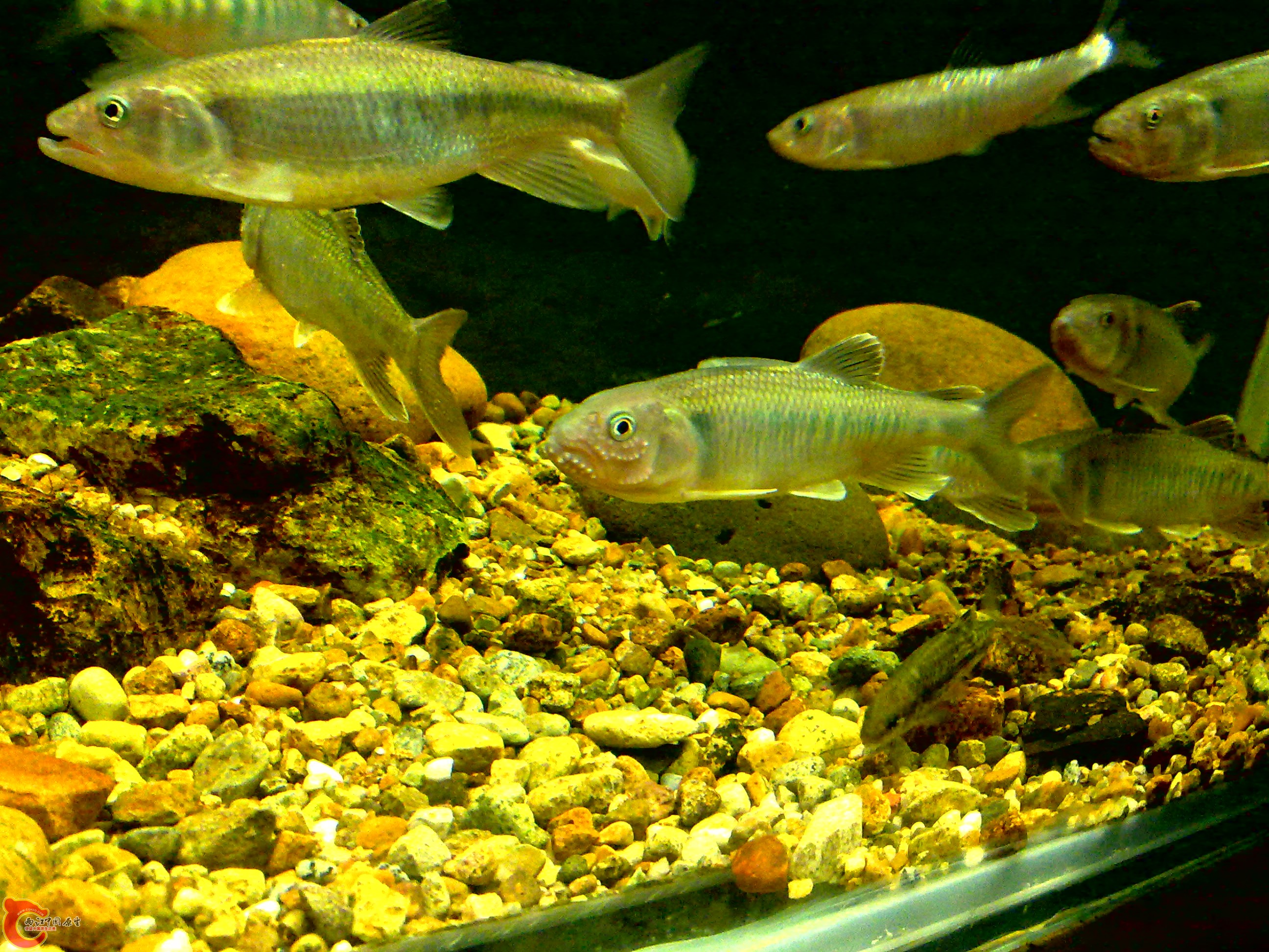 20110712731.jpg
