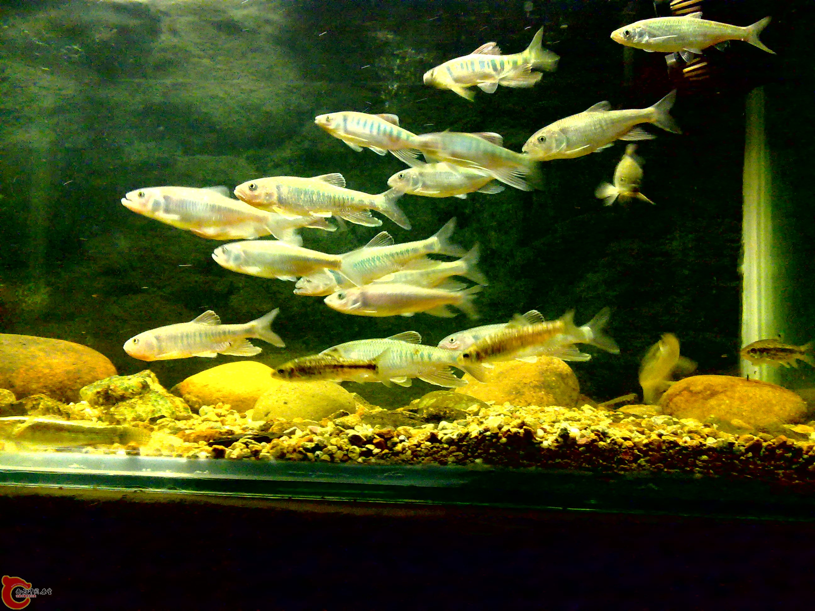 20110712760.jpg