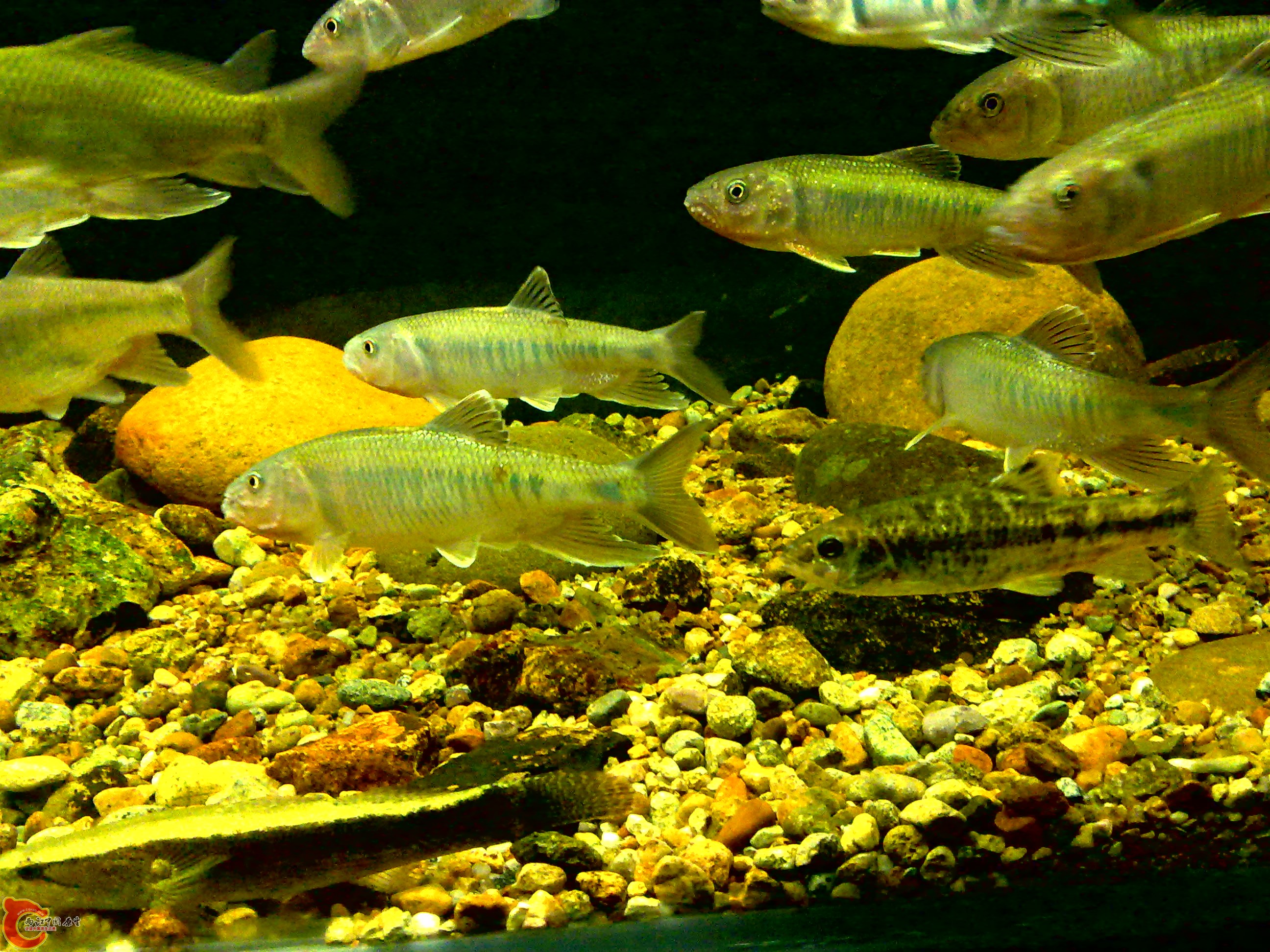 20110712734.jpg