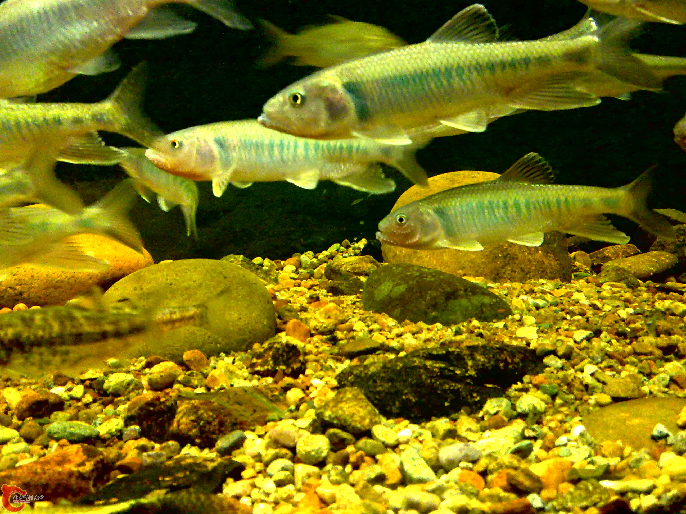 20110712736.jpg