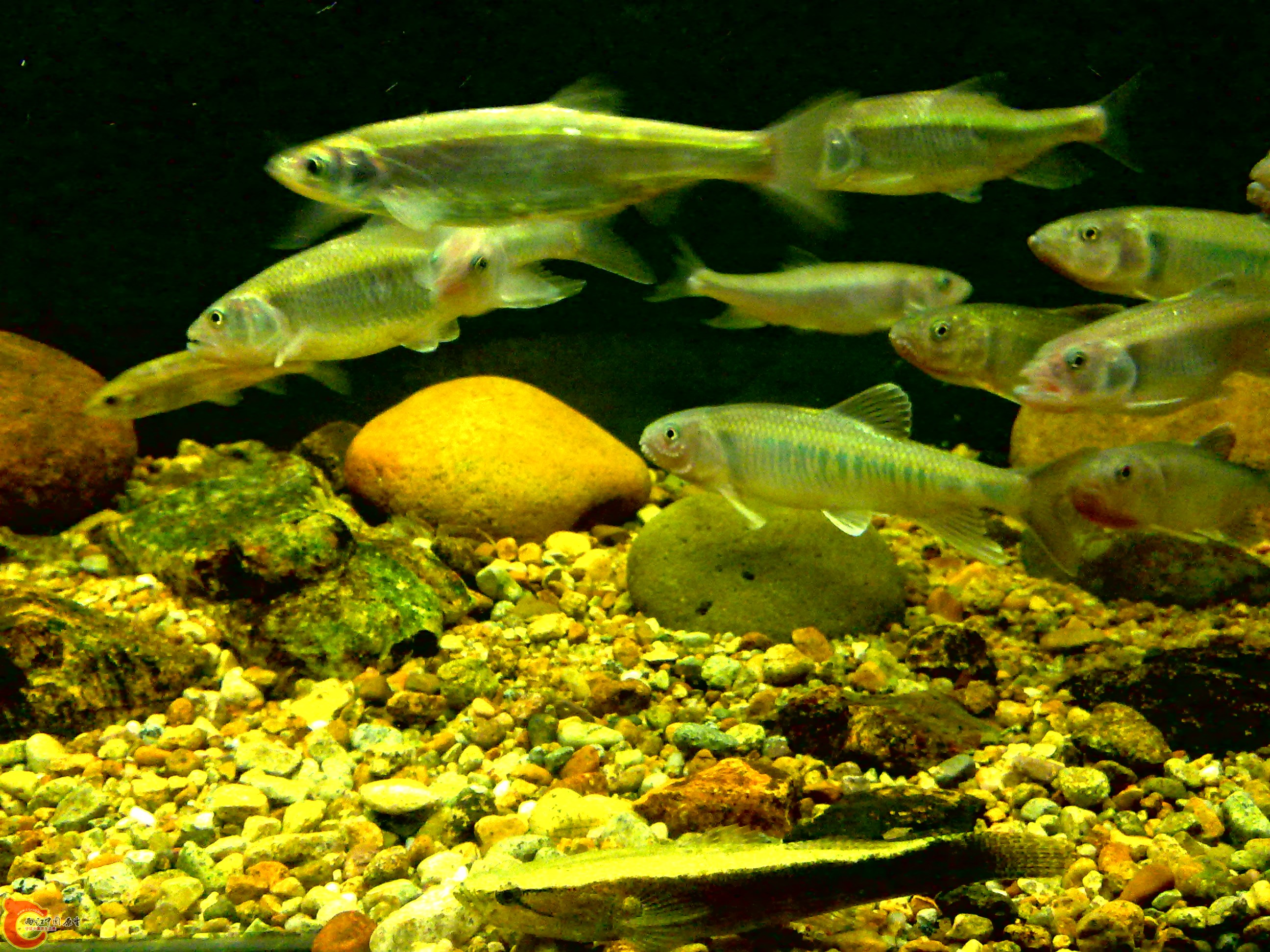 20110712737.jpg