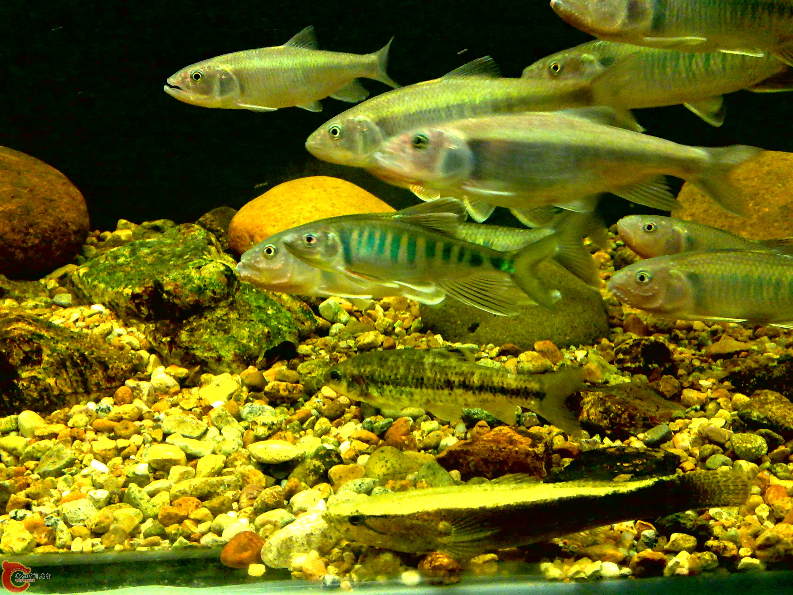 20110712738.jpg