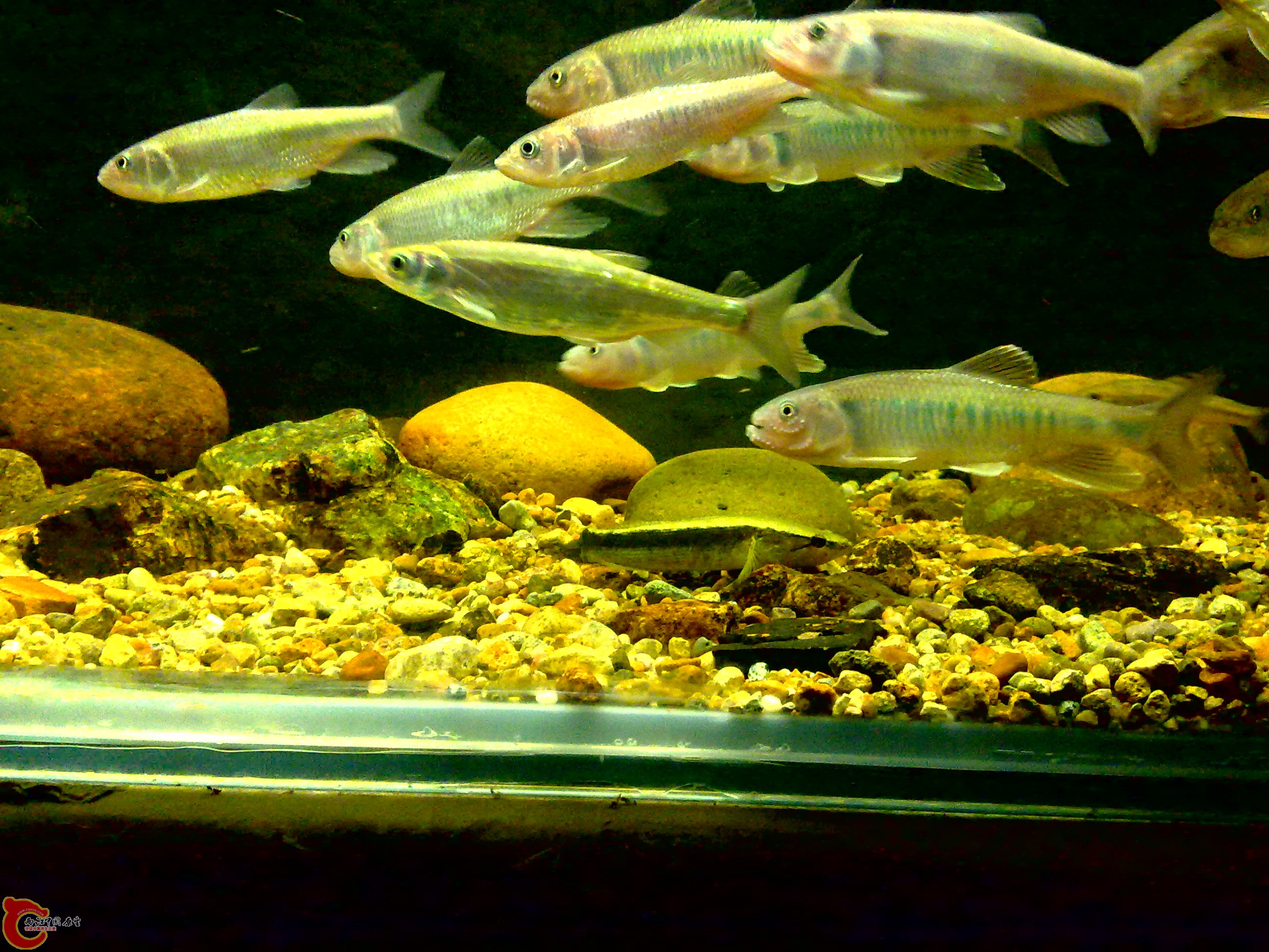 20110712743.jpg