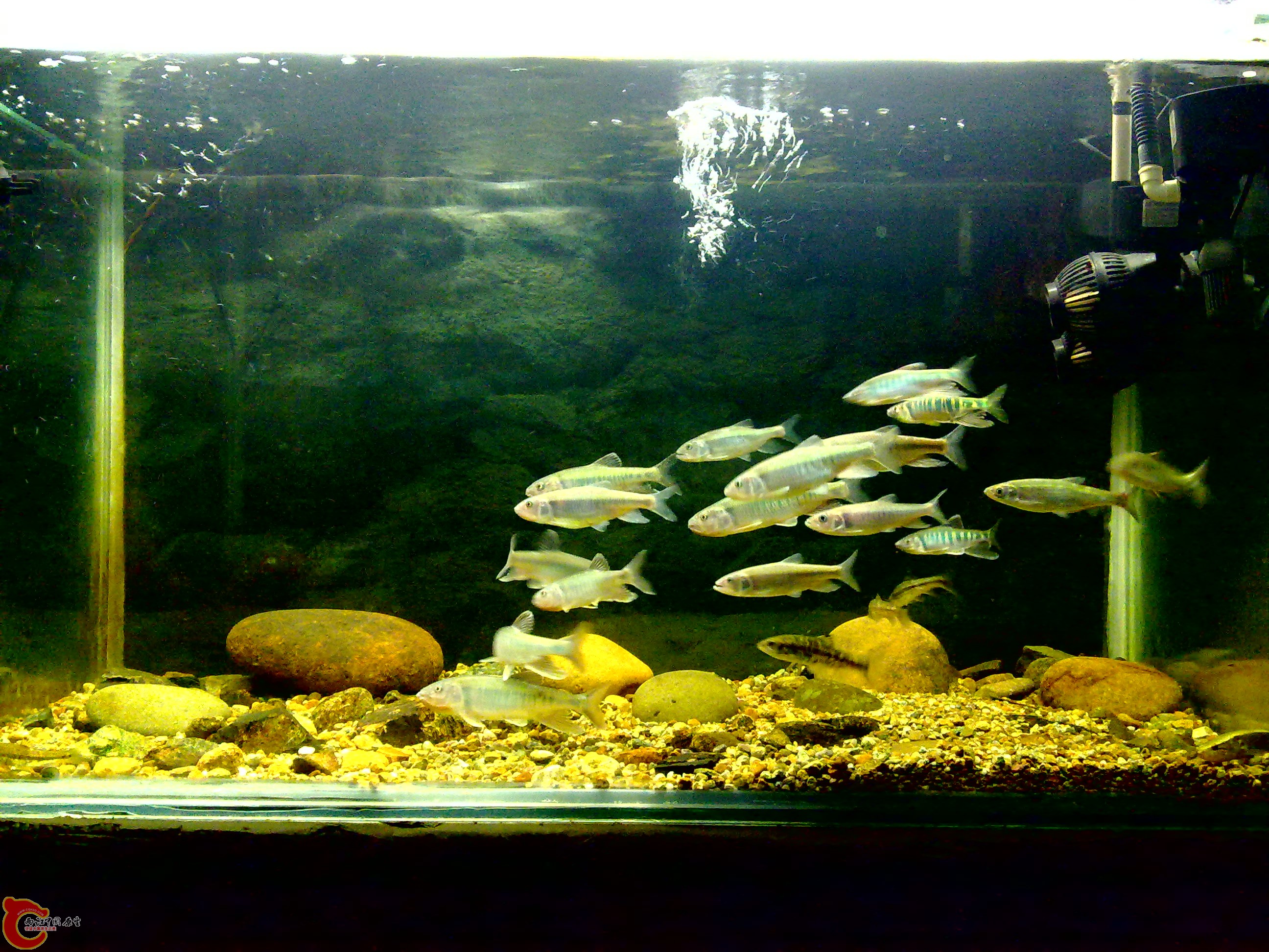 20110712753.jpg