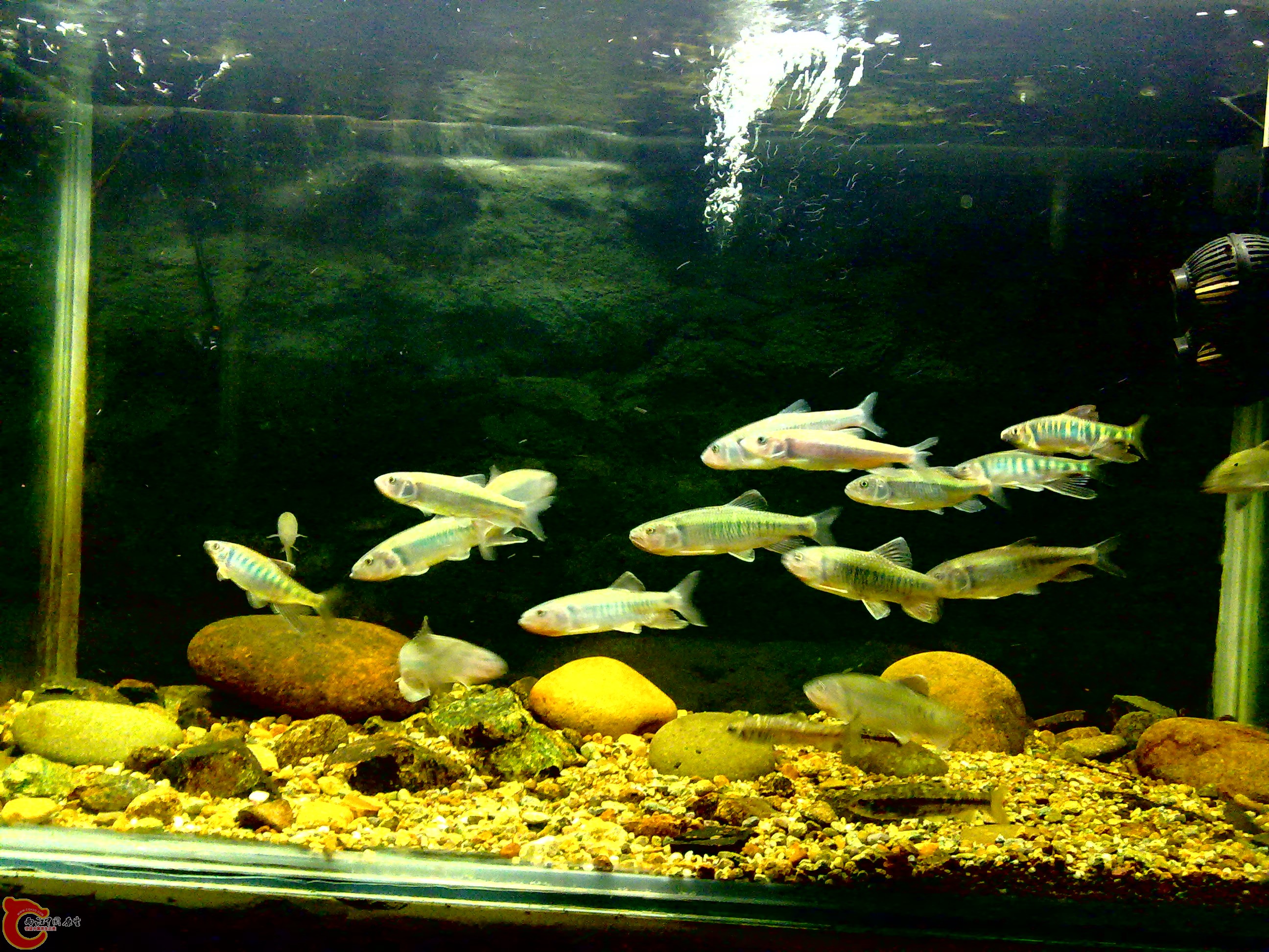 20110712754.jpg