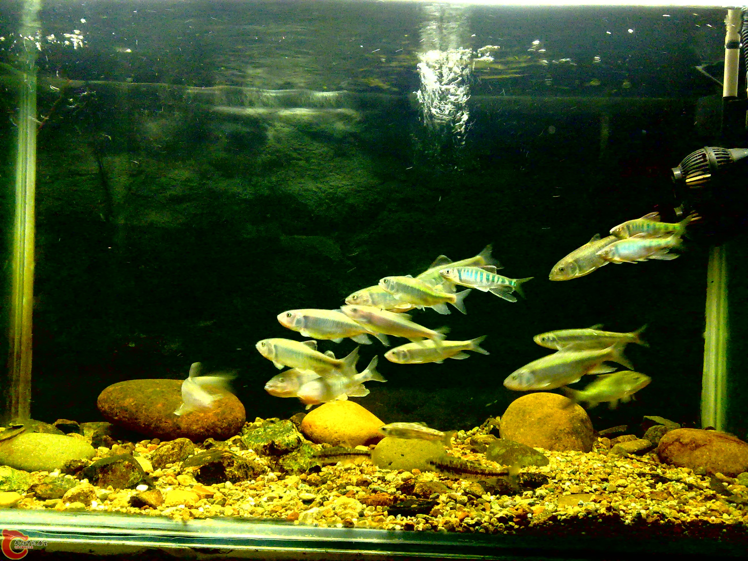 20110712755.jpg