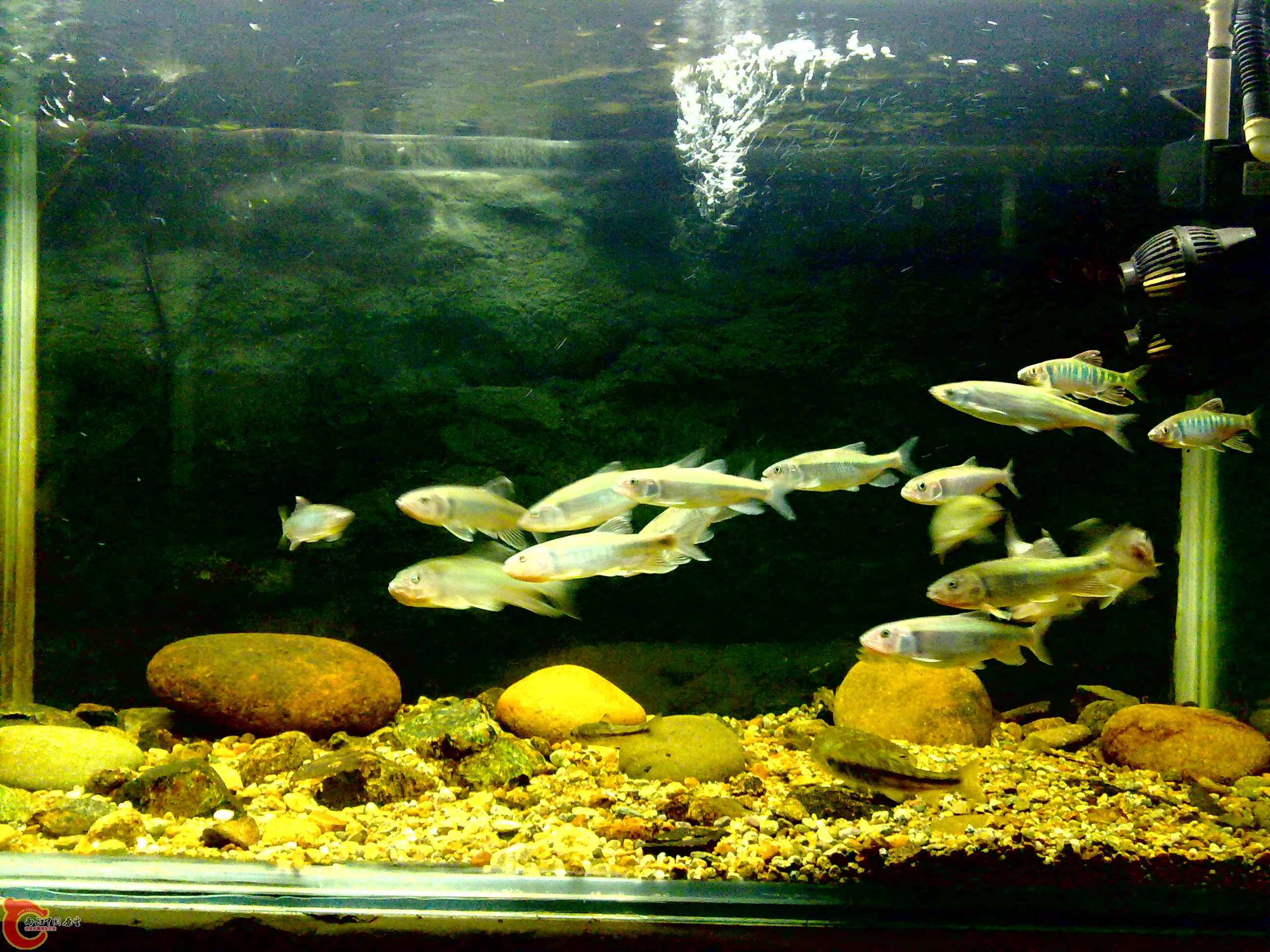 20110712756.jpg