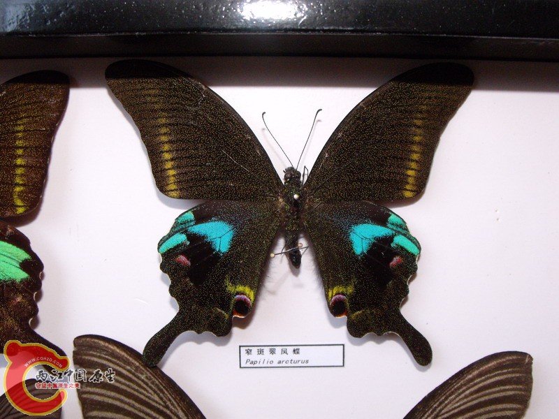 DSCF8827.JPG