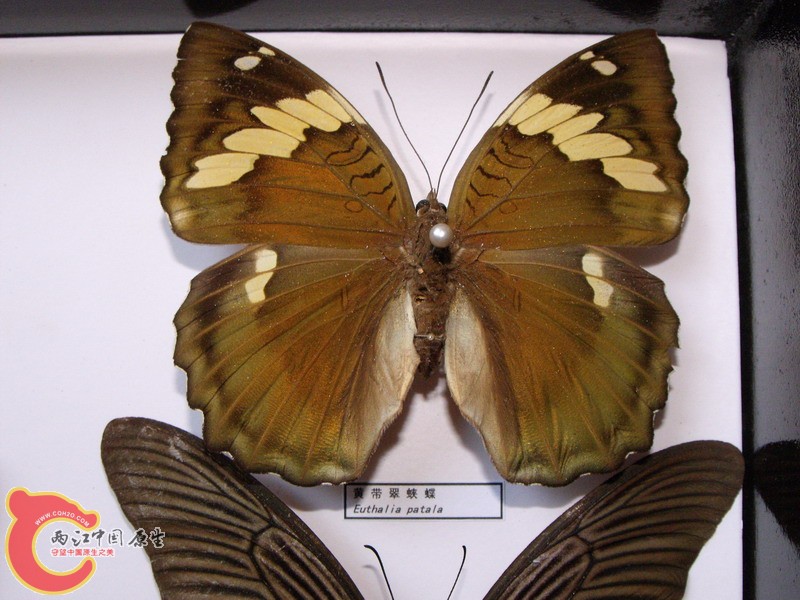 DSCF8828.JPG