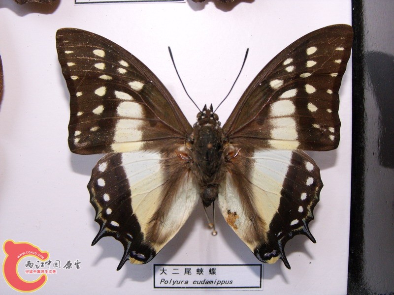 DSCF8836.JPG