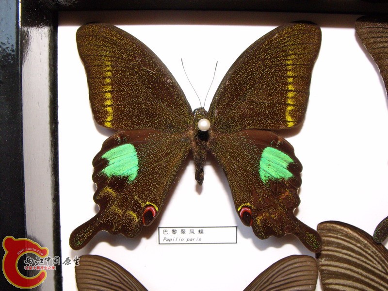 DSCF8837.JPG