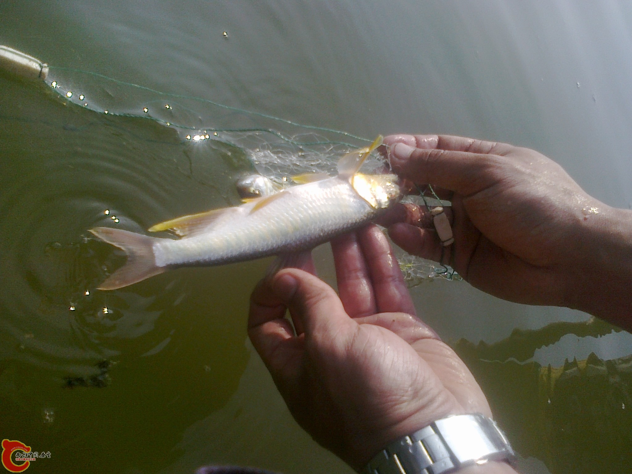 20110714177.jpg