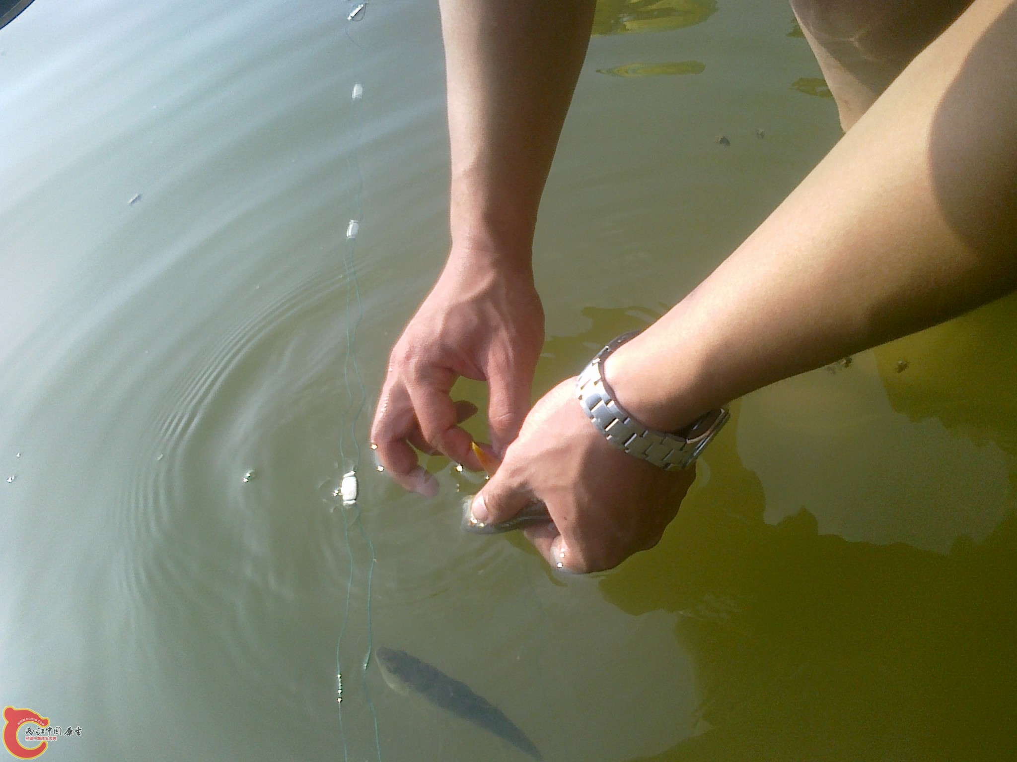 20110714179.jpg